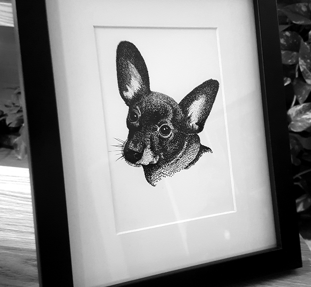 chihuahua-dog-illustration.png
