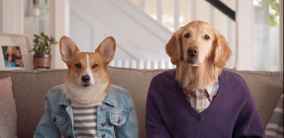 Screen Shot 2019-01-15 at 12.18.48 PM.png