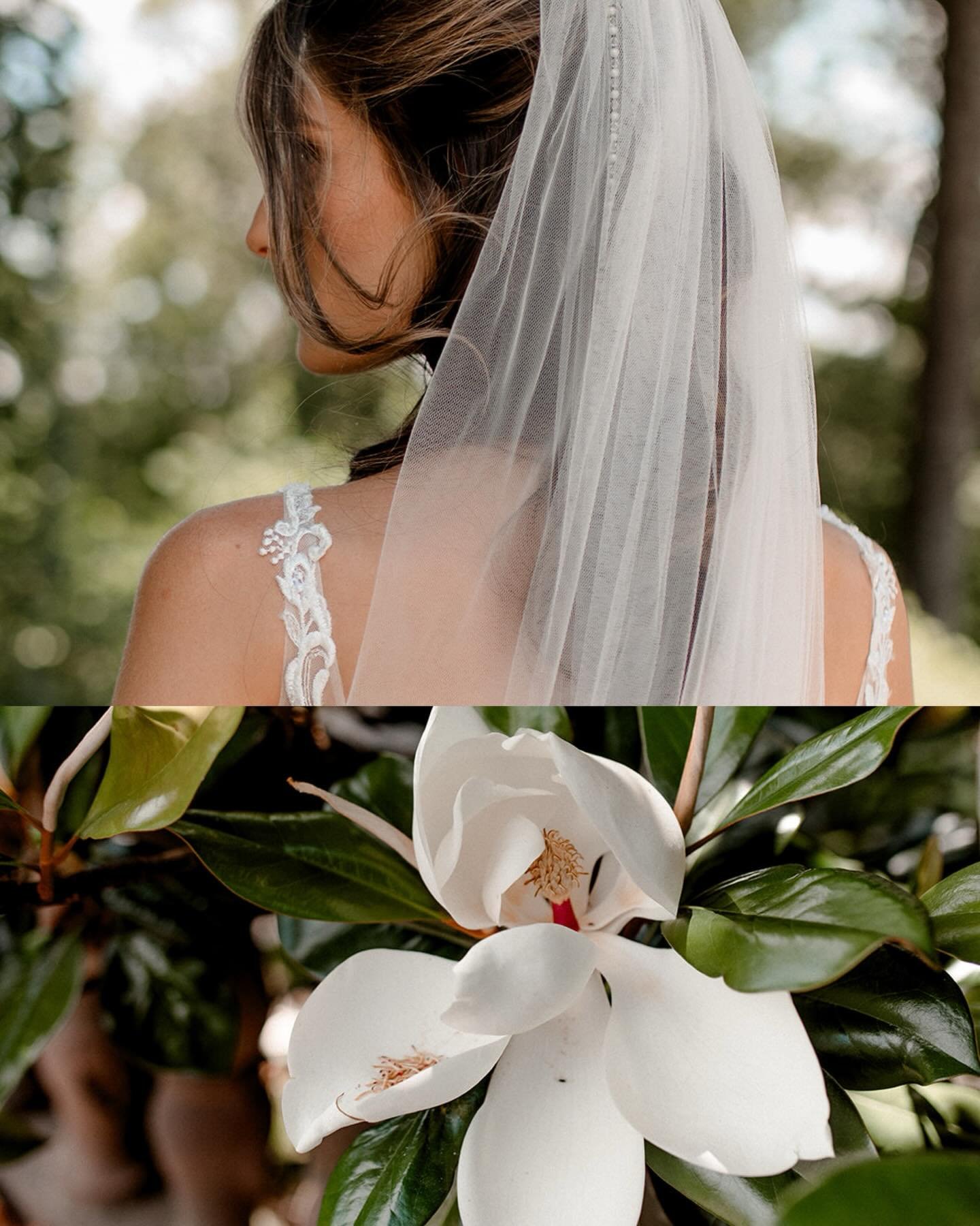 sweet sweet sunlight ☀️ and good times with good friends.