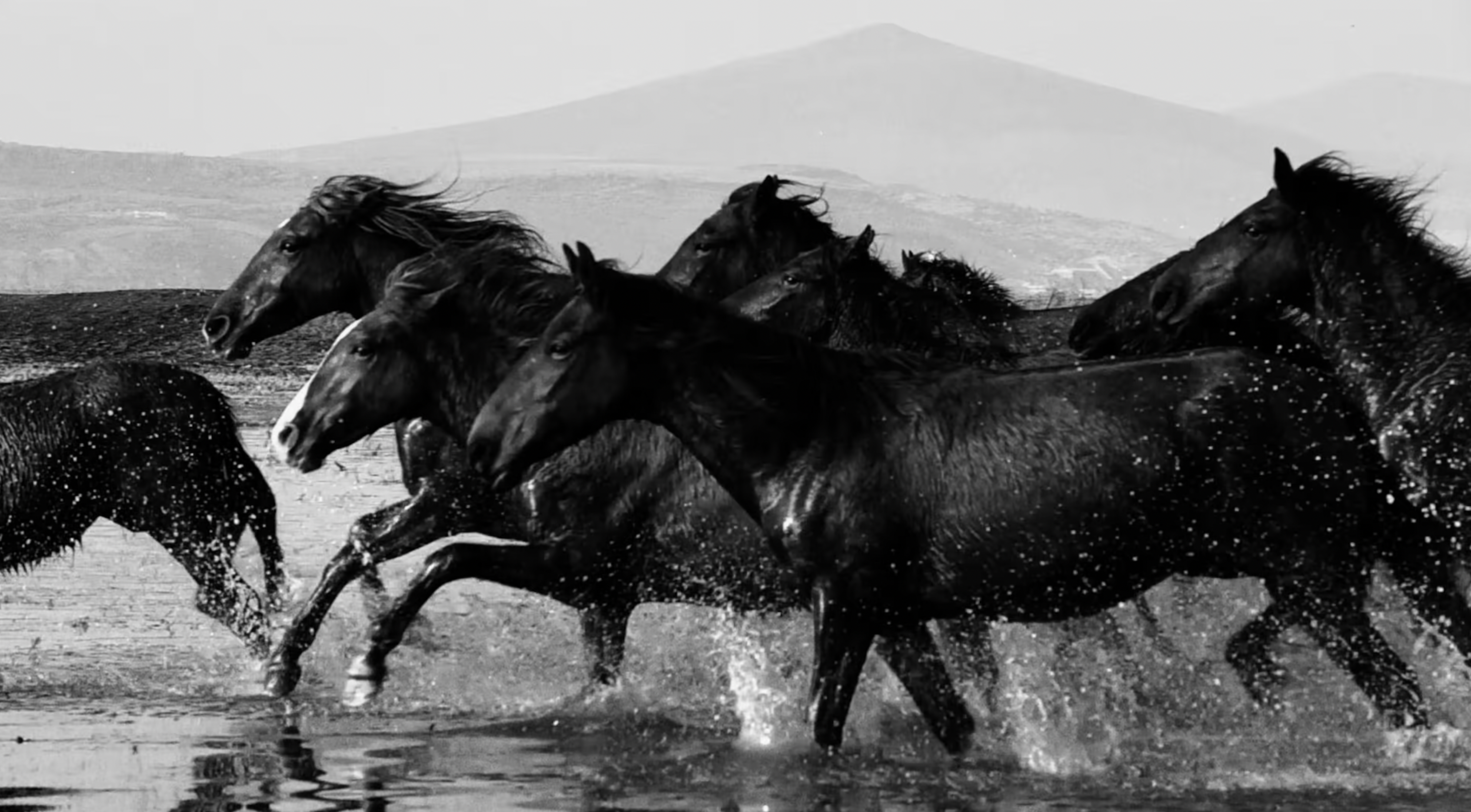  TEARS FOR FEARS | No Small Thing 