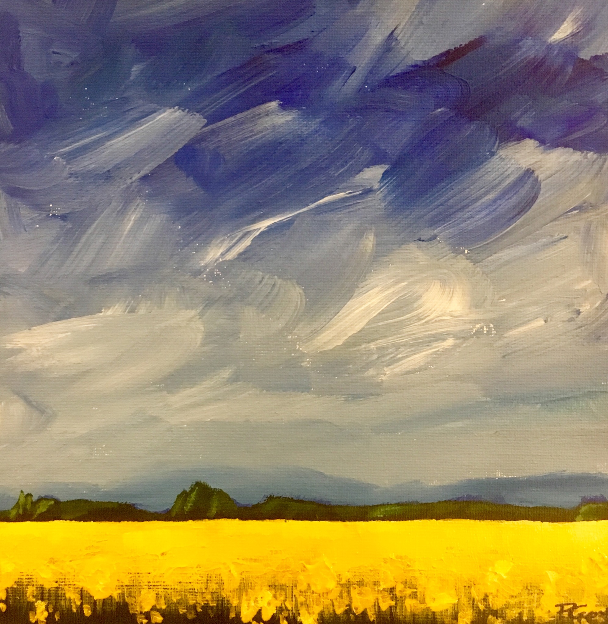 View from my House, Tredington (SOLD)