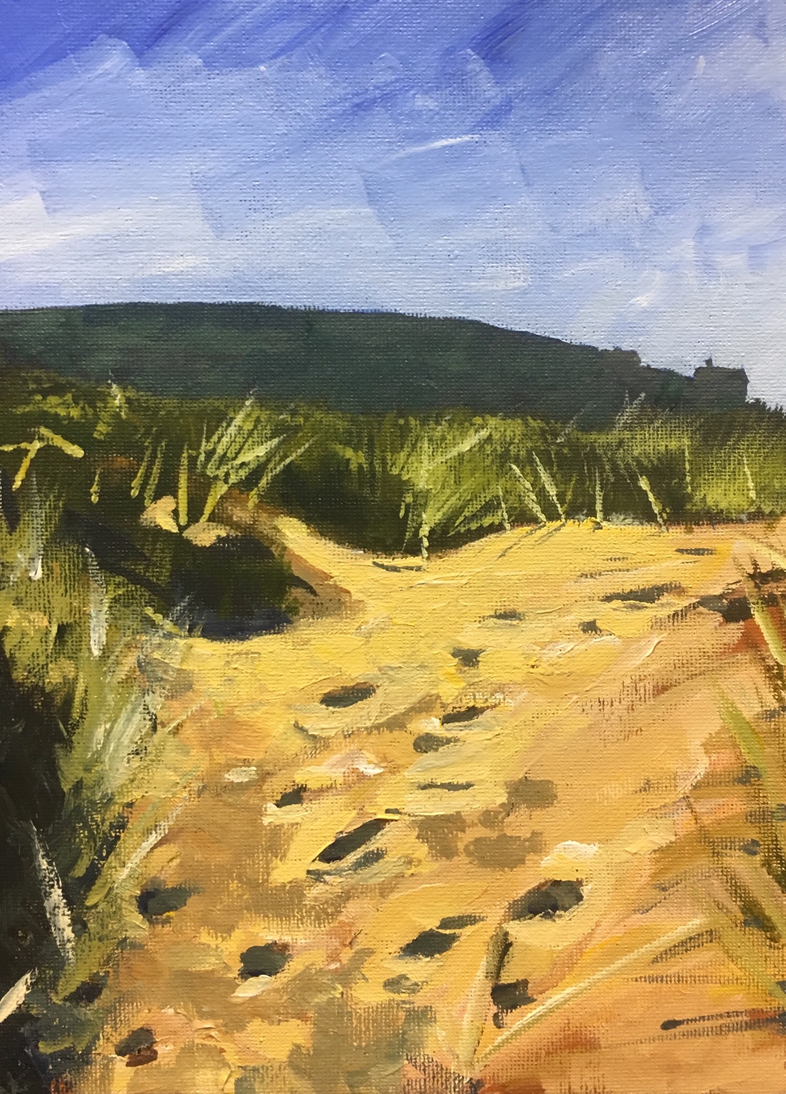 Climbing the Sand Dunes, Croyde