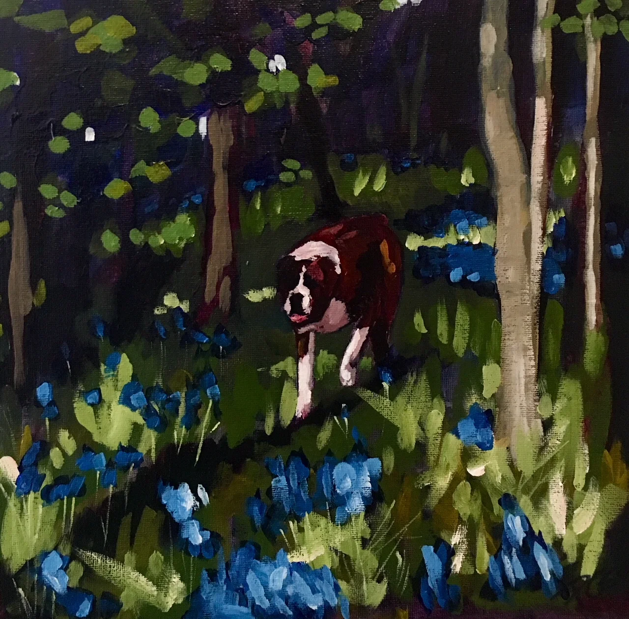 Bailey in Bluebells (SOLD)