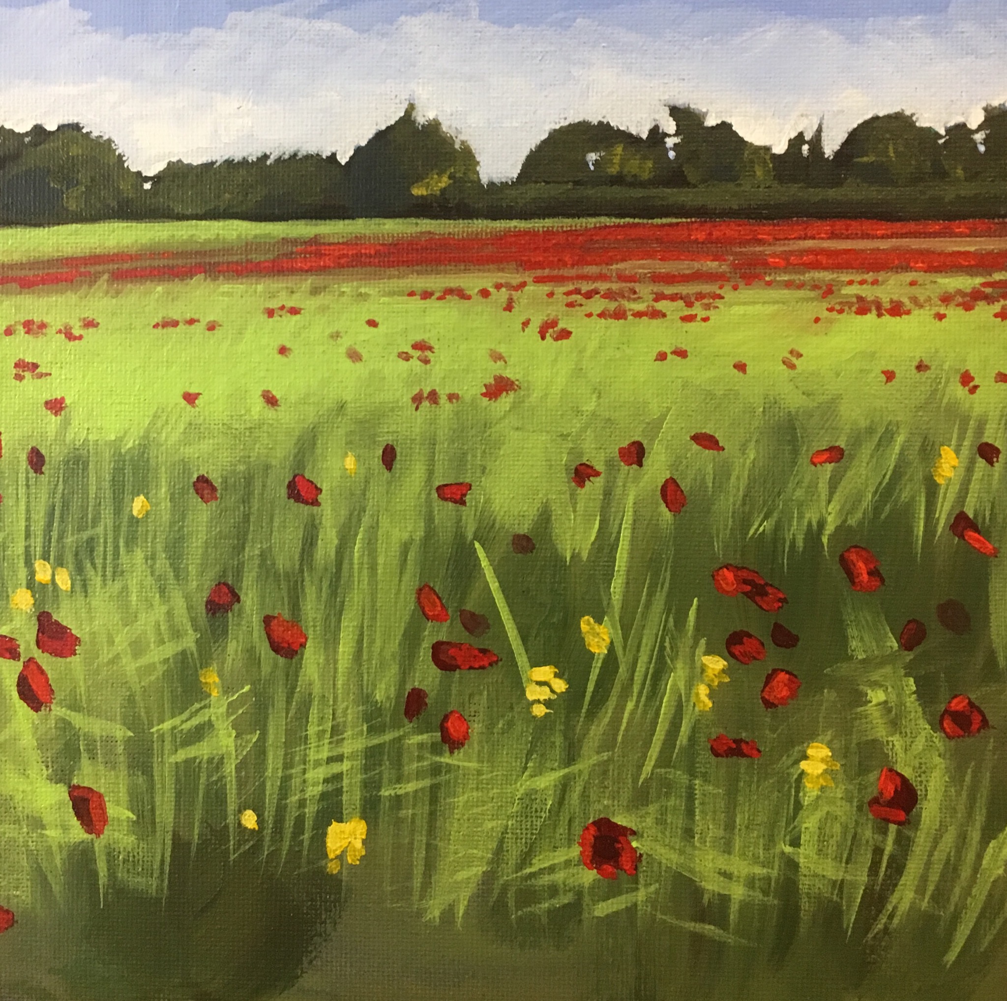 Poppies in a field with Rapeseed, 2018 (SOLD)