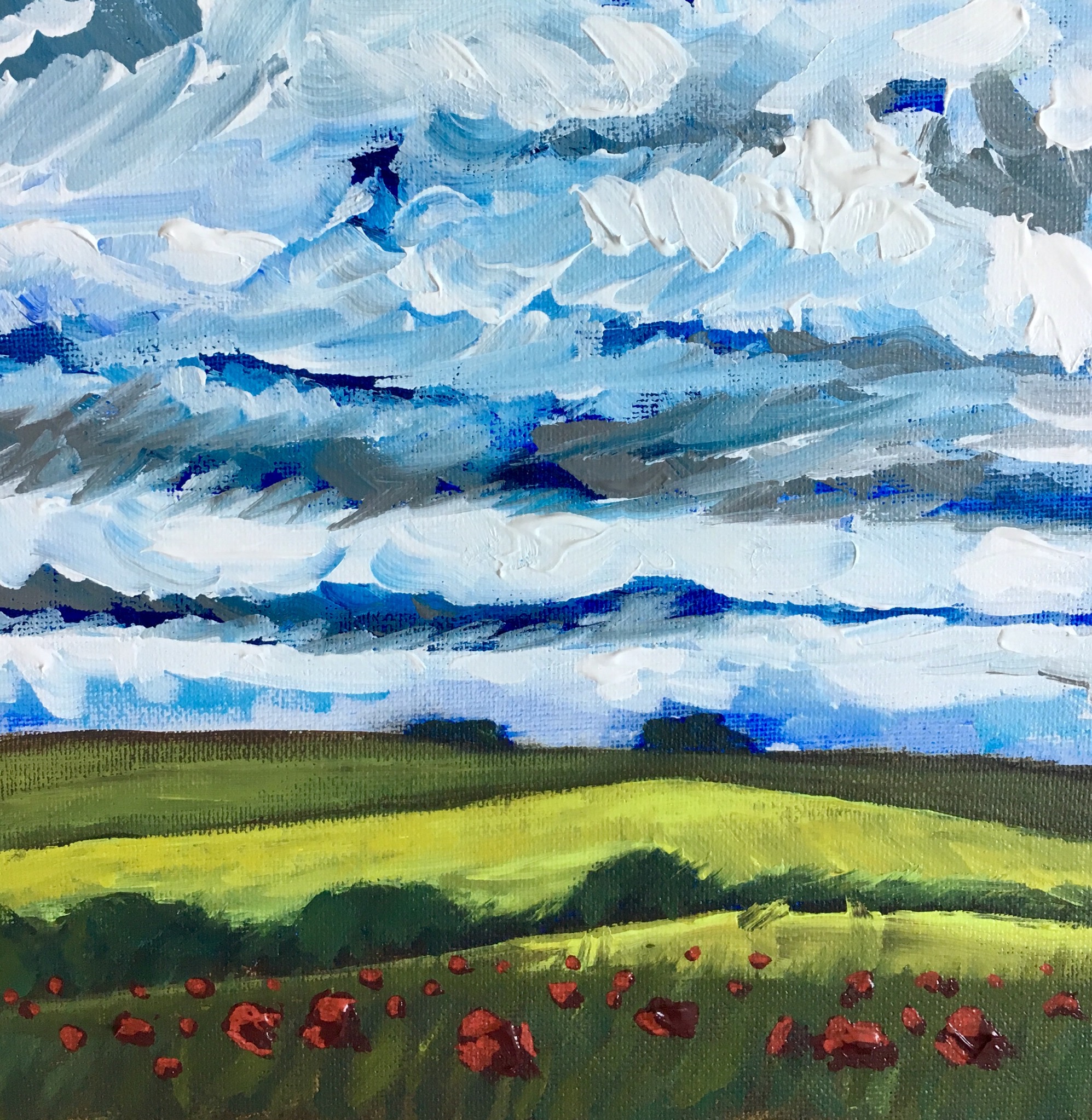 Poppies, stormy sky, 2018