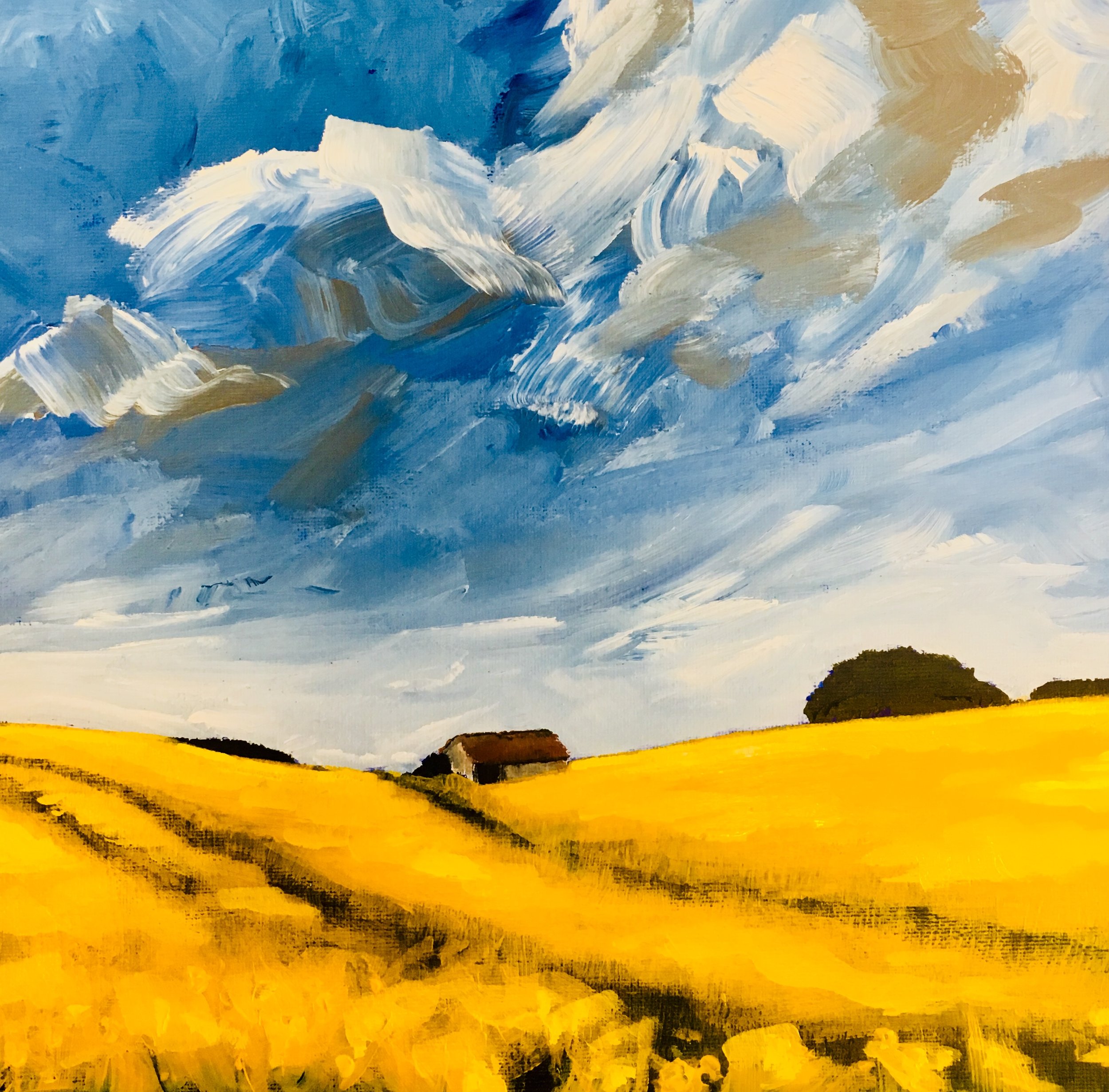 Barn in field of Rapeseed, Stormy 2018 (sold)