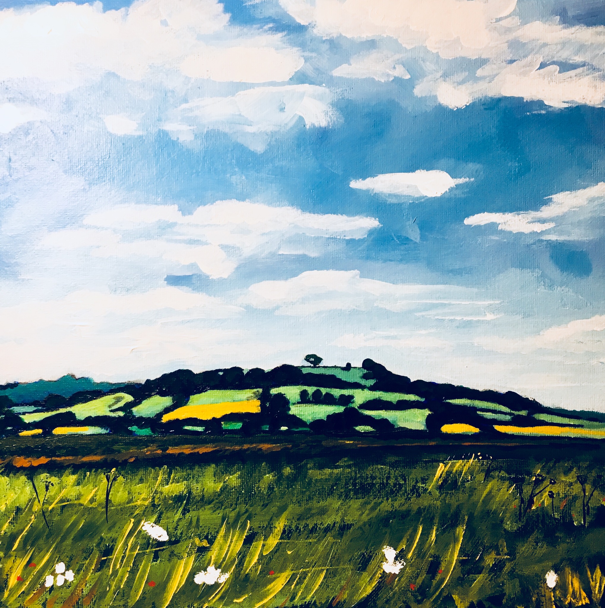 Meon Hill, Warwickshire, 2018