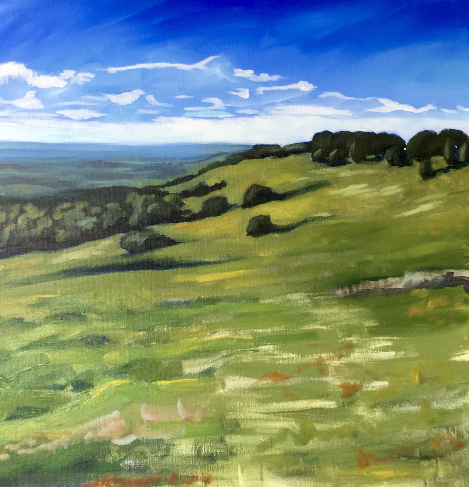The View from Dovers Hill, Chipping Campden 2018