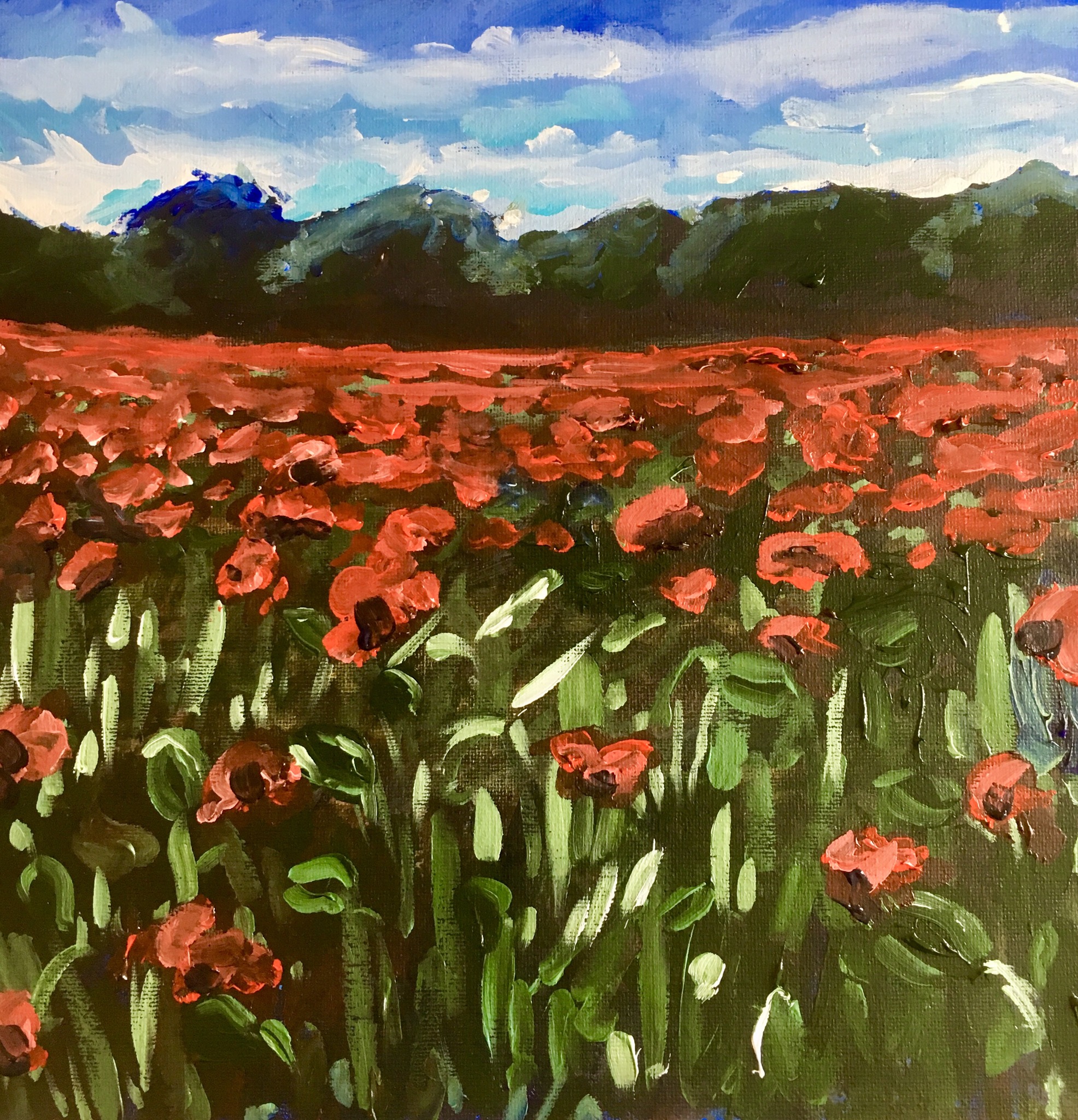Poppies in field III, 2018