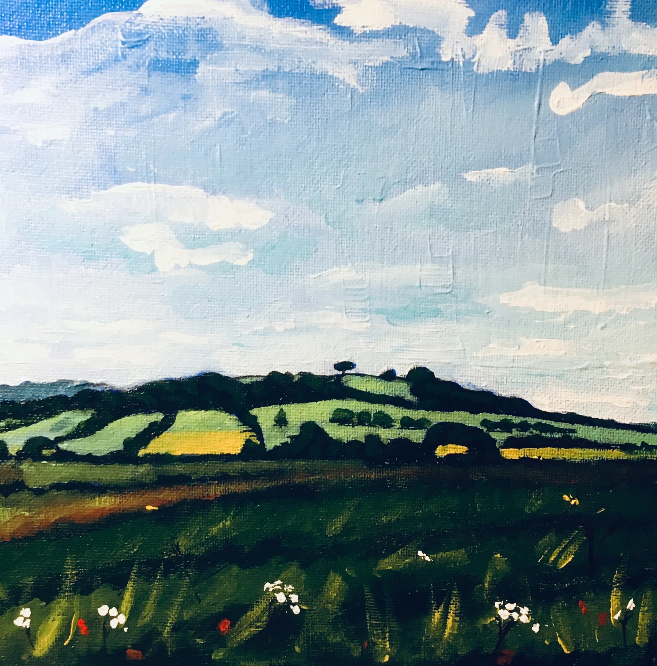 Meon Hill (2) - Mickleton 2018 (SOLD)