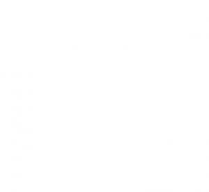 carbon-neutral-300x276.png