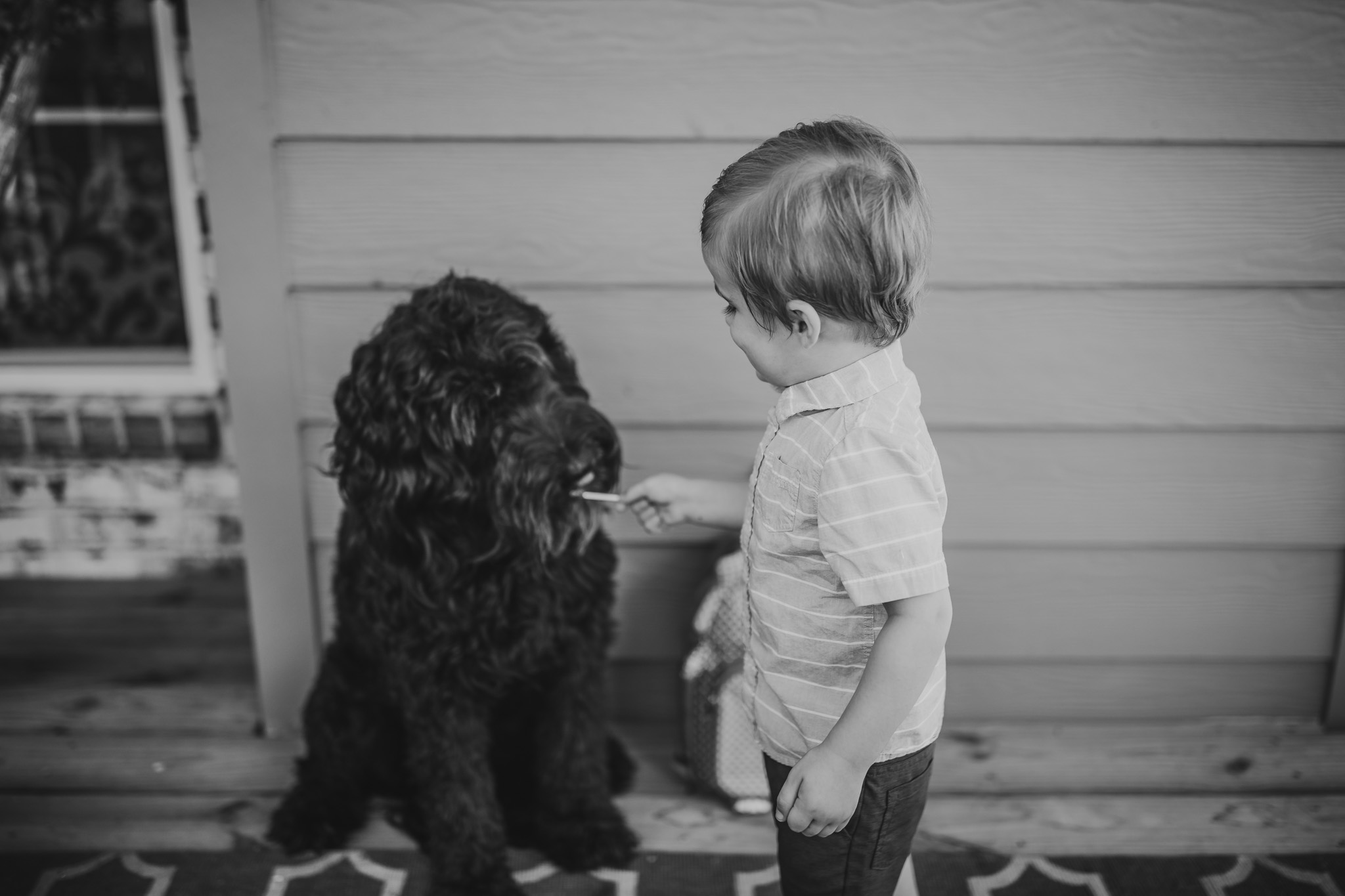 toddler and dog 