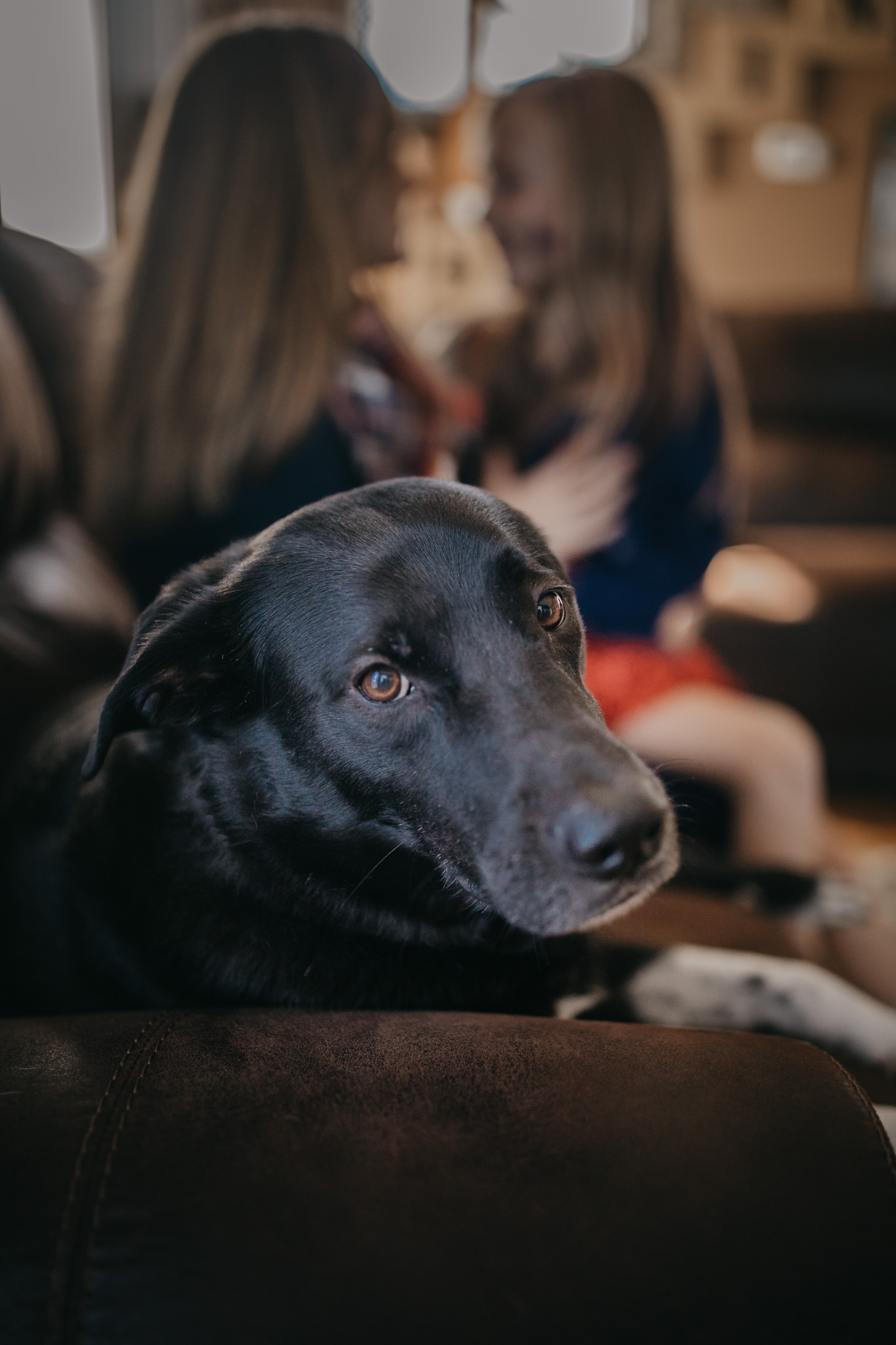 even pups need some photo love