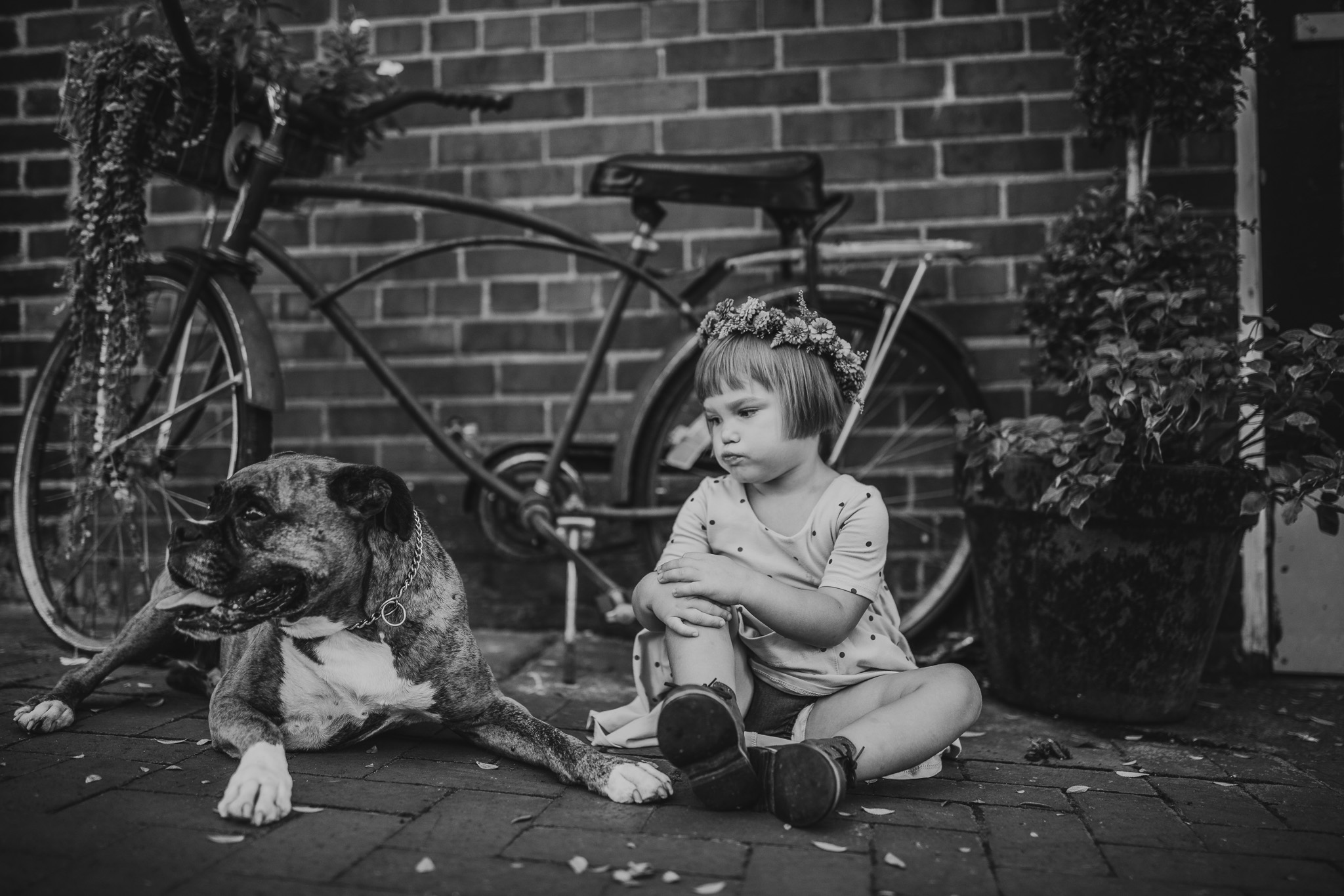 little girl with boxer dog