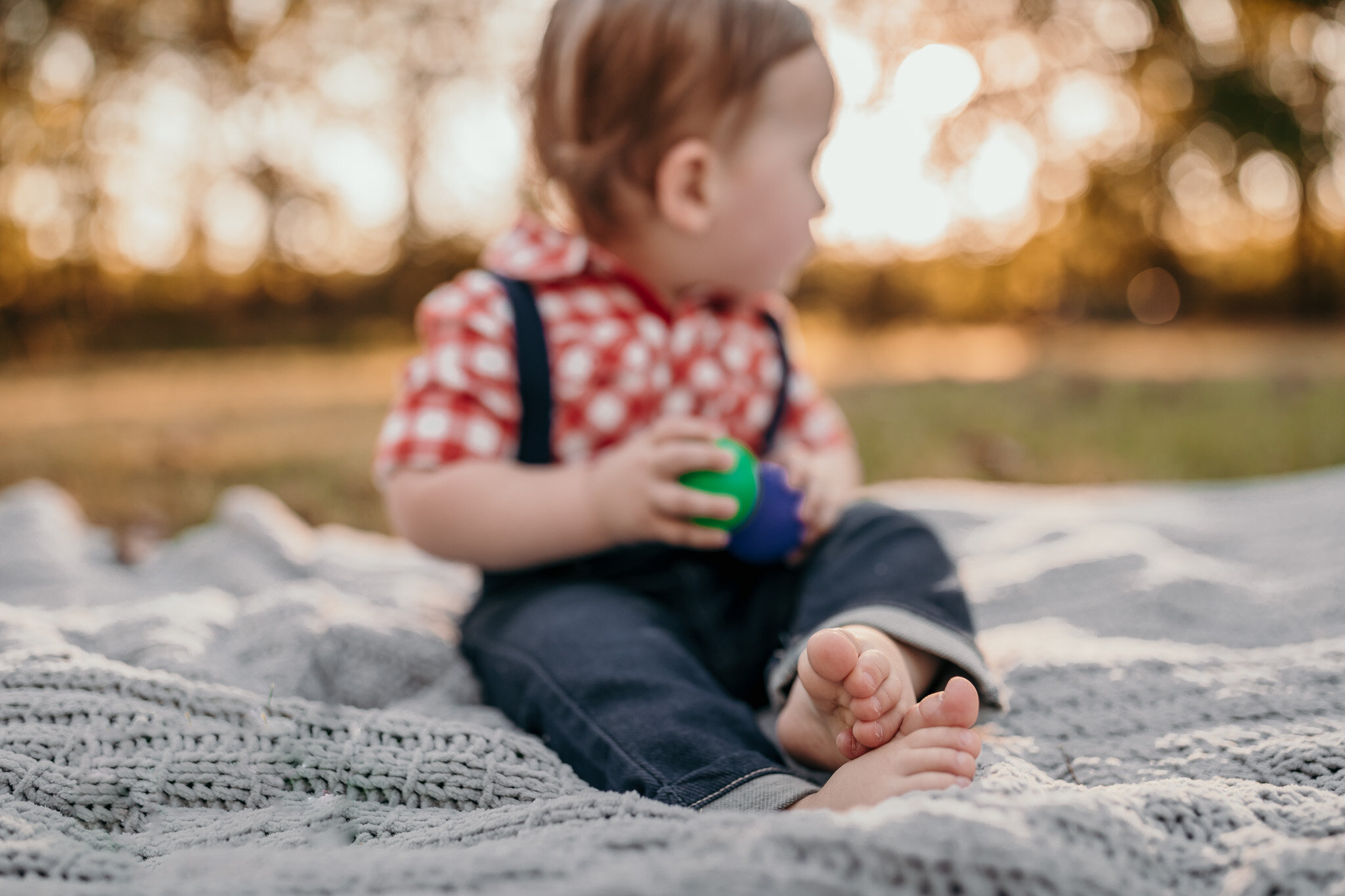 one year old birthday session savannah ga