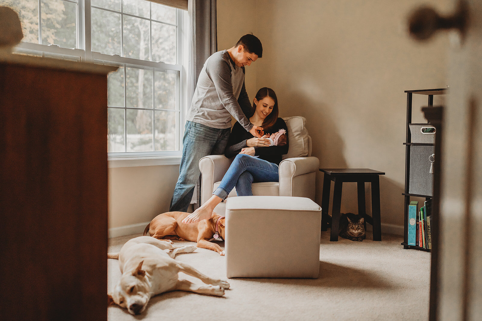 family photos with dogs and newborn