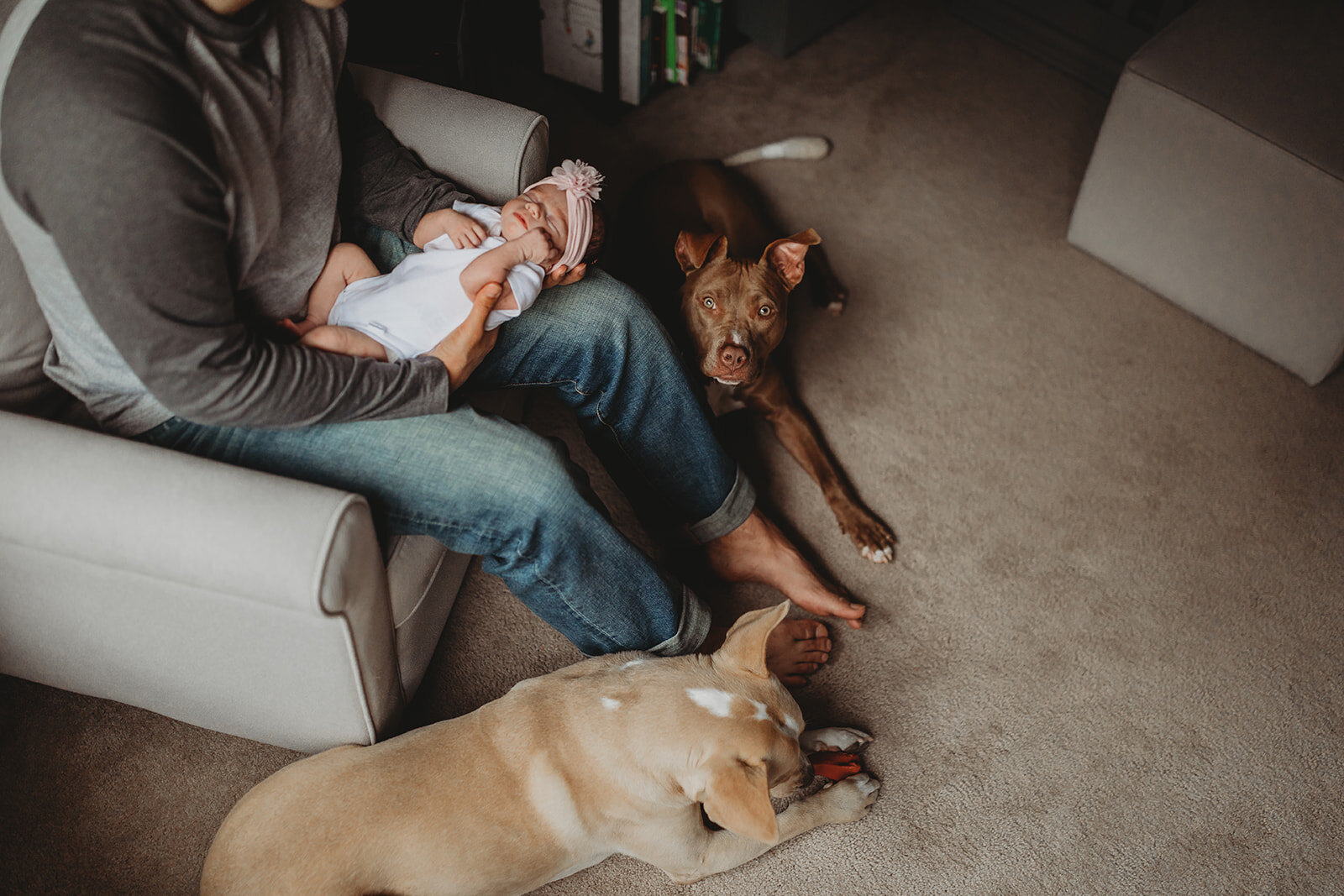 dog and newborn photos