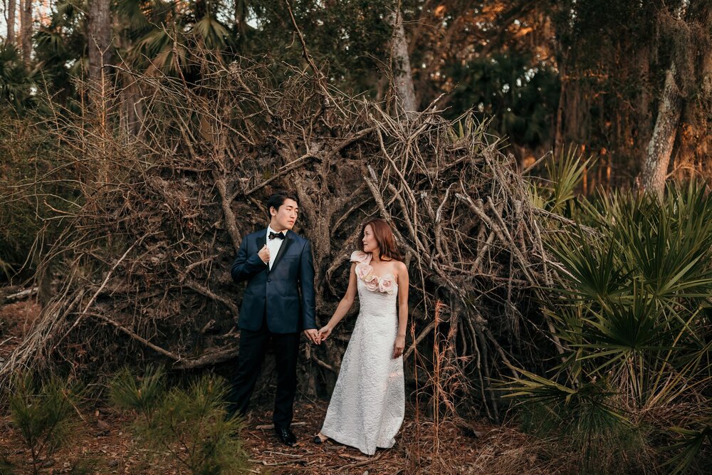 couple in front of fallen tree stump