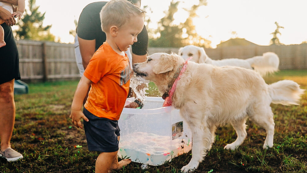 playing with water balloons with dogs