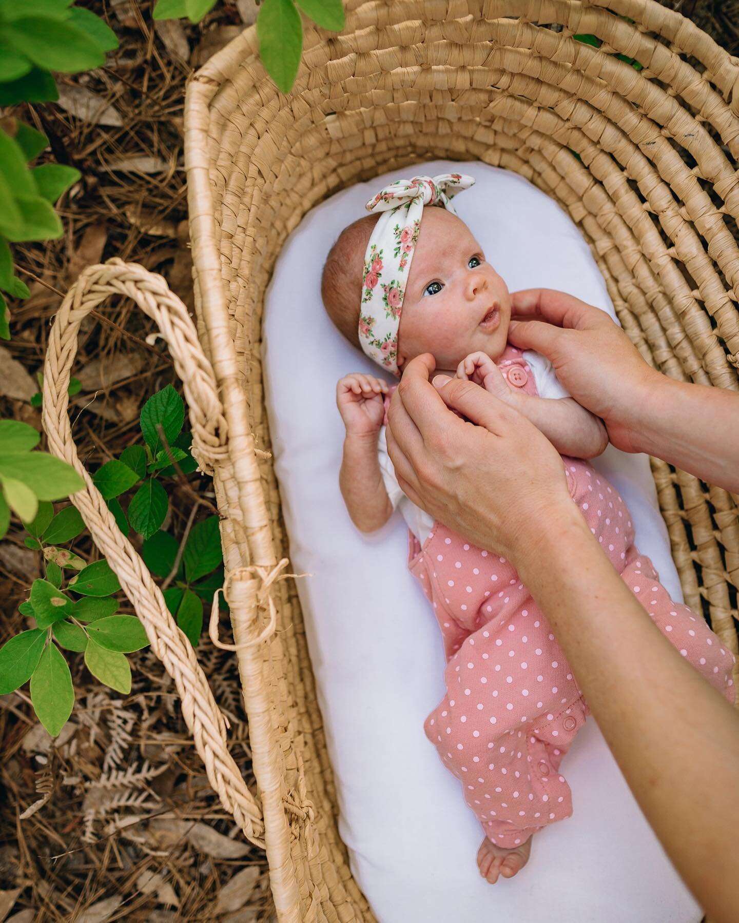 What&rsquo;s cuter than a baby in a basket? Nothing, that&rsquo;s what. 😍

So glad I got to meet sweet baby Maddie at just one month old! Isn&rsquo;t she a doll?! 💜

Also&mdash;Attention!! ⚠️I still have spots available for my mini sessions on June