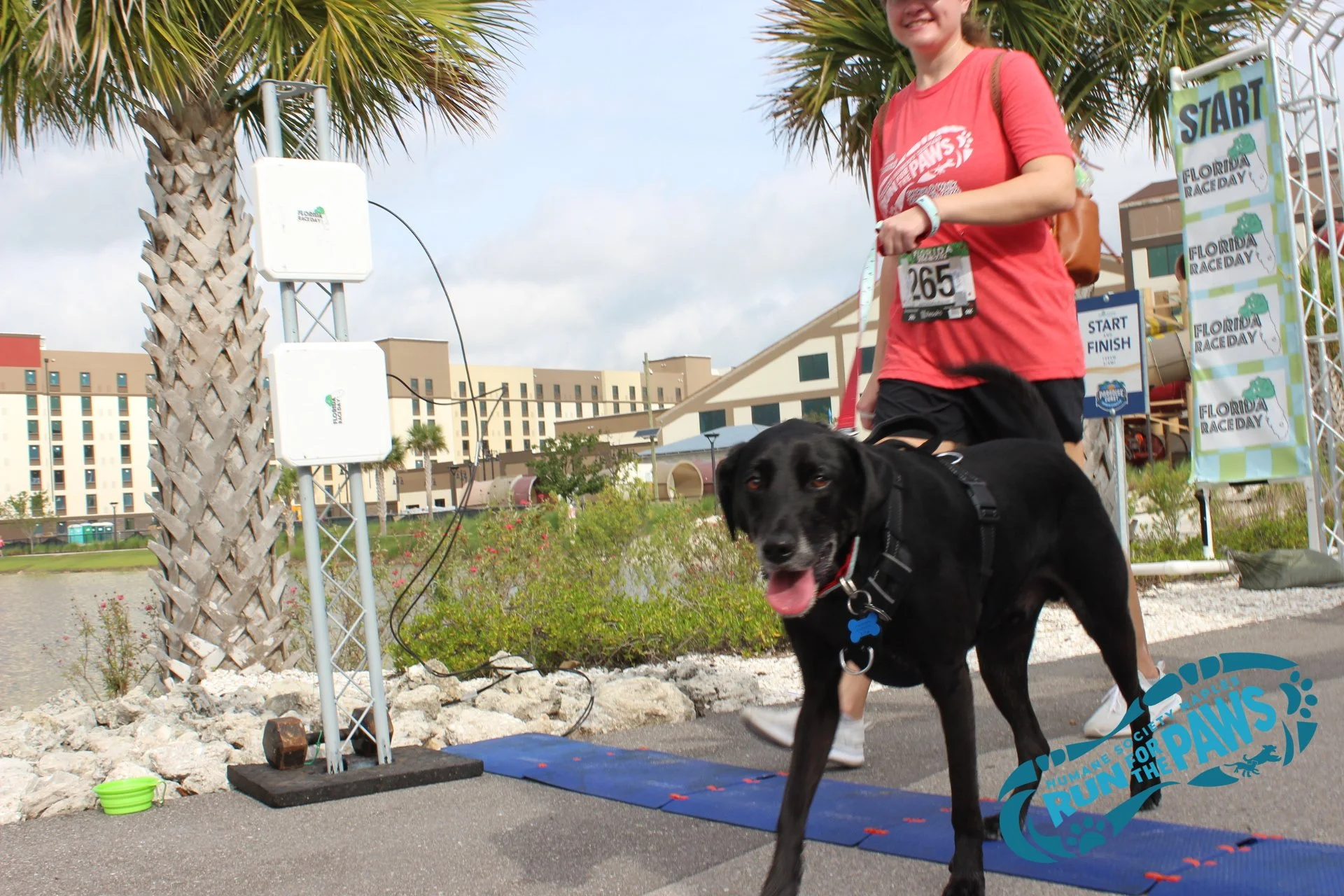 IMG_20260212_114756 (2).jpg