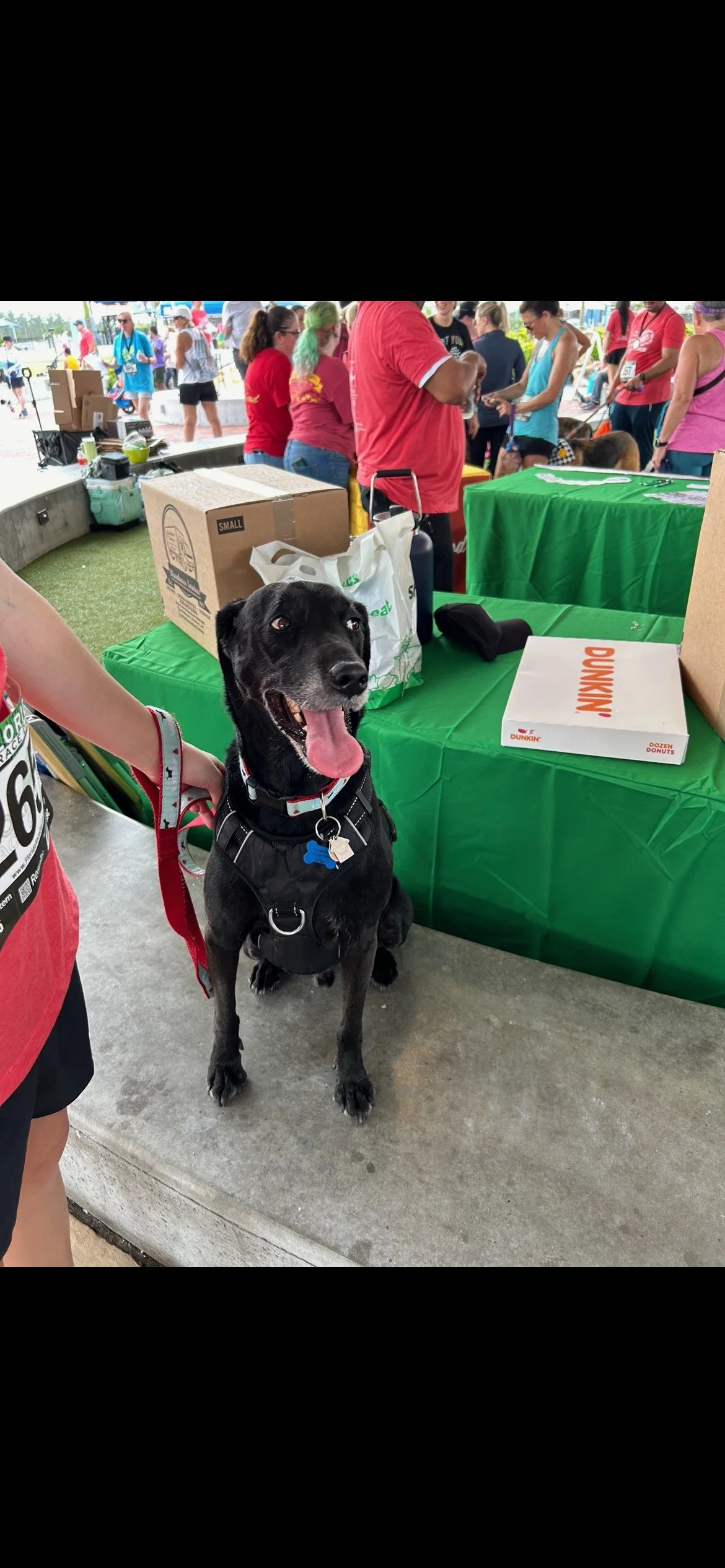 IMG_20260212_114756 (4).jpg