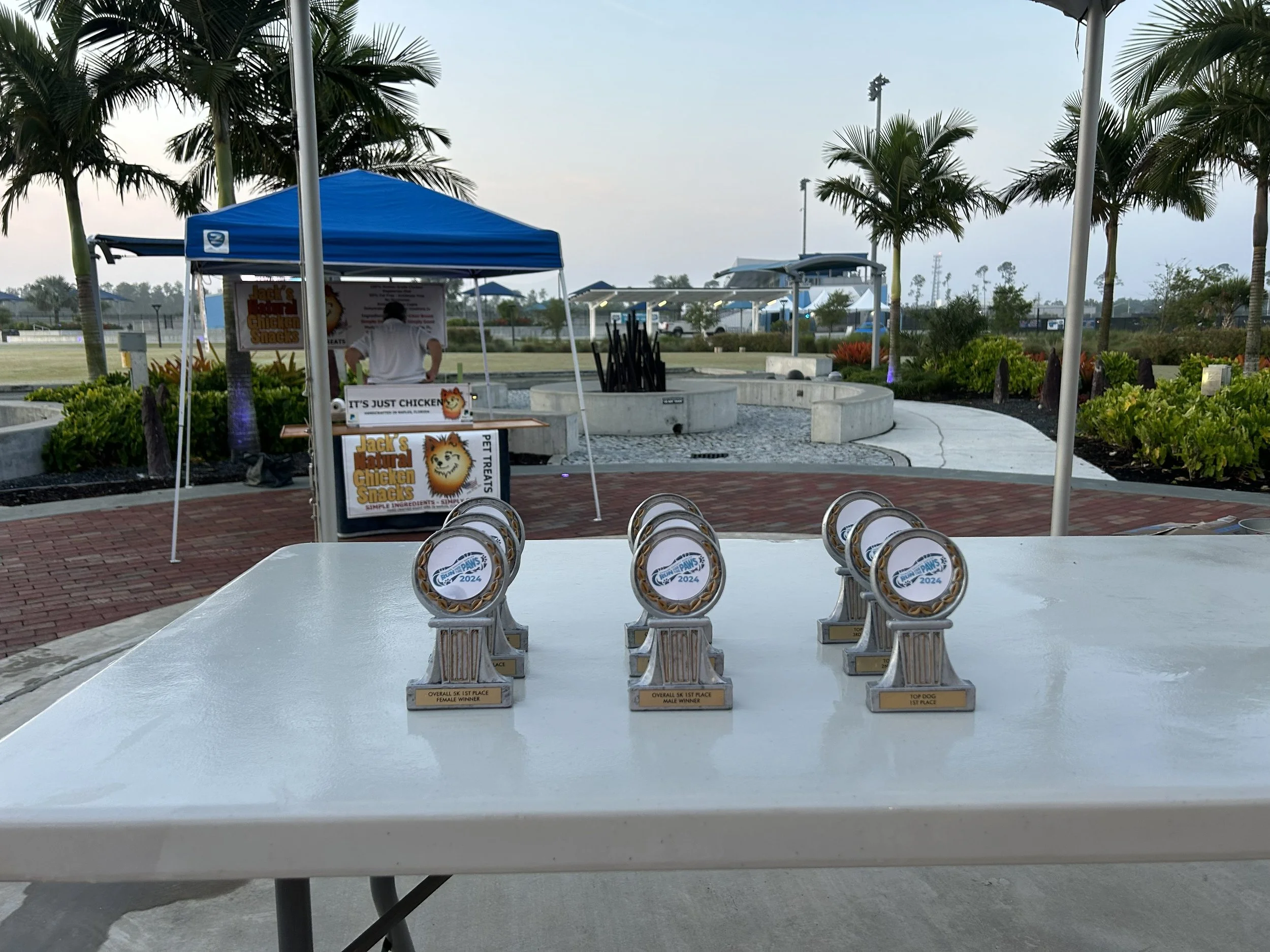 IMG_20260212_114756 (2).jpg