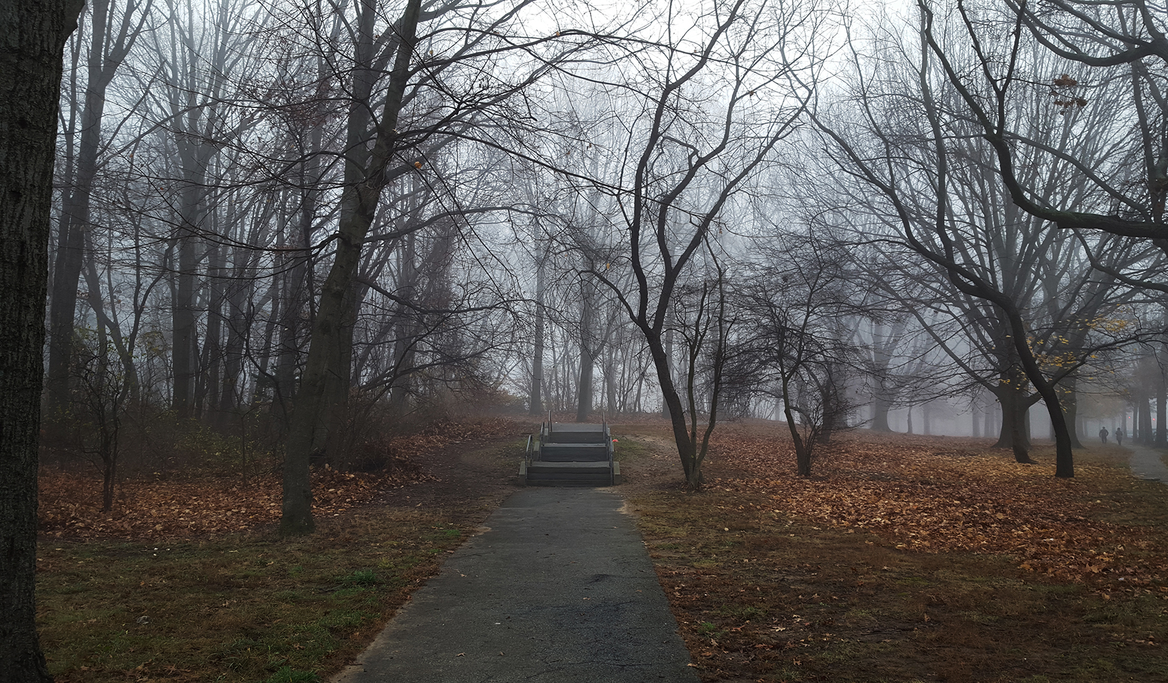 a foggy entrance