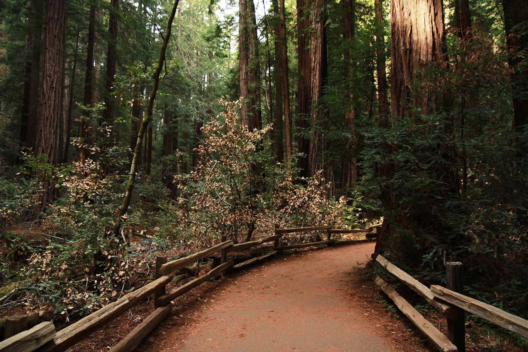 pathway pt.1