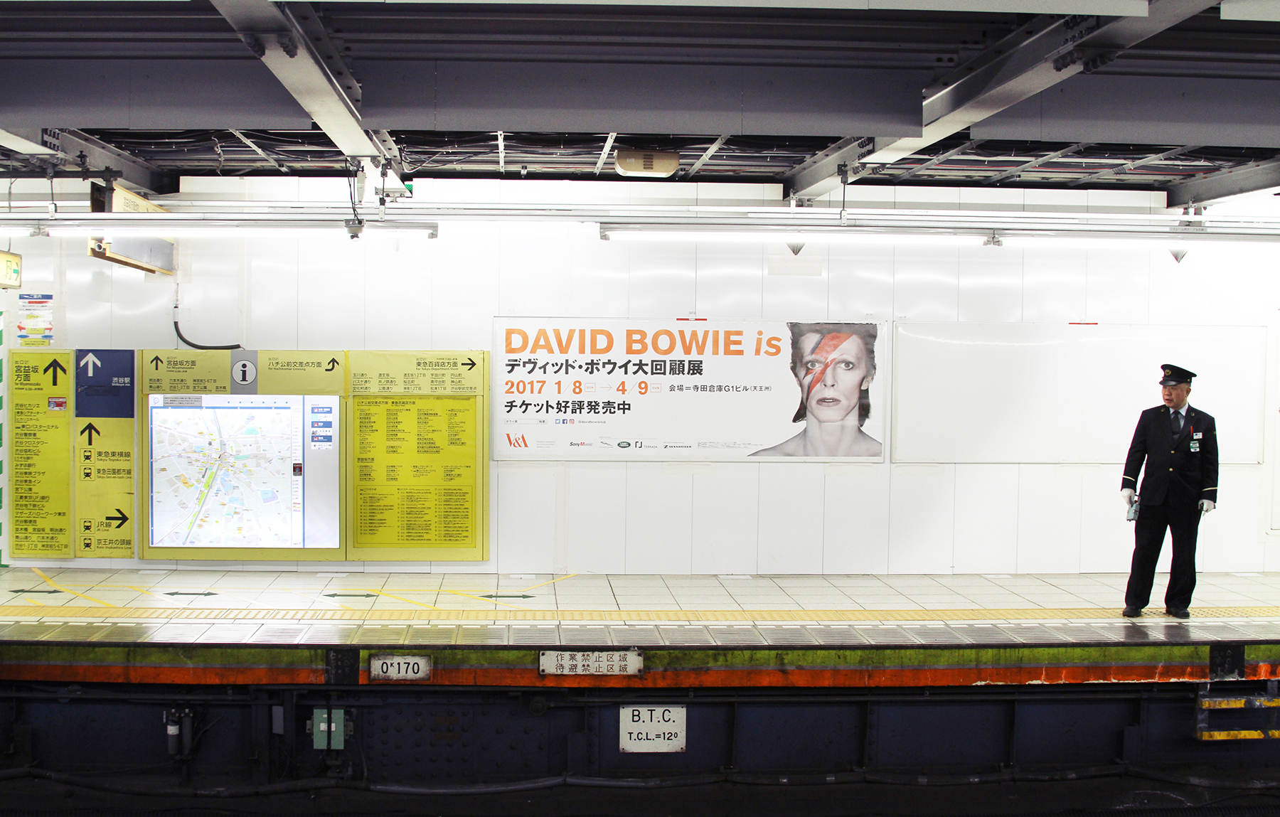 David Bowie is...