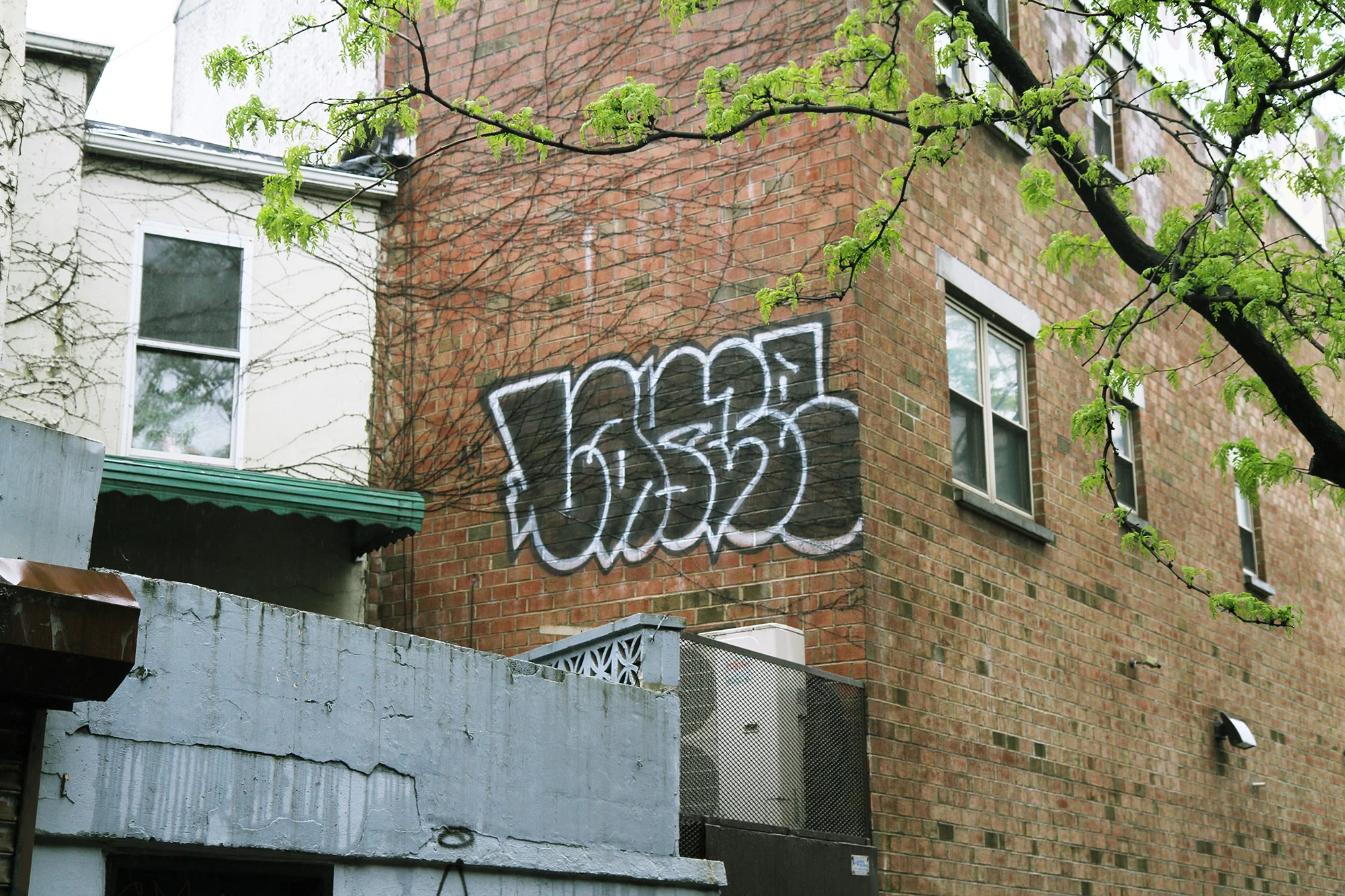 Lance, May 2019, New York City