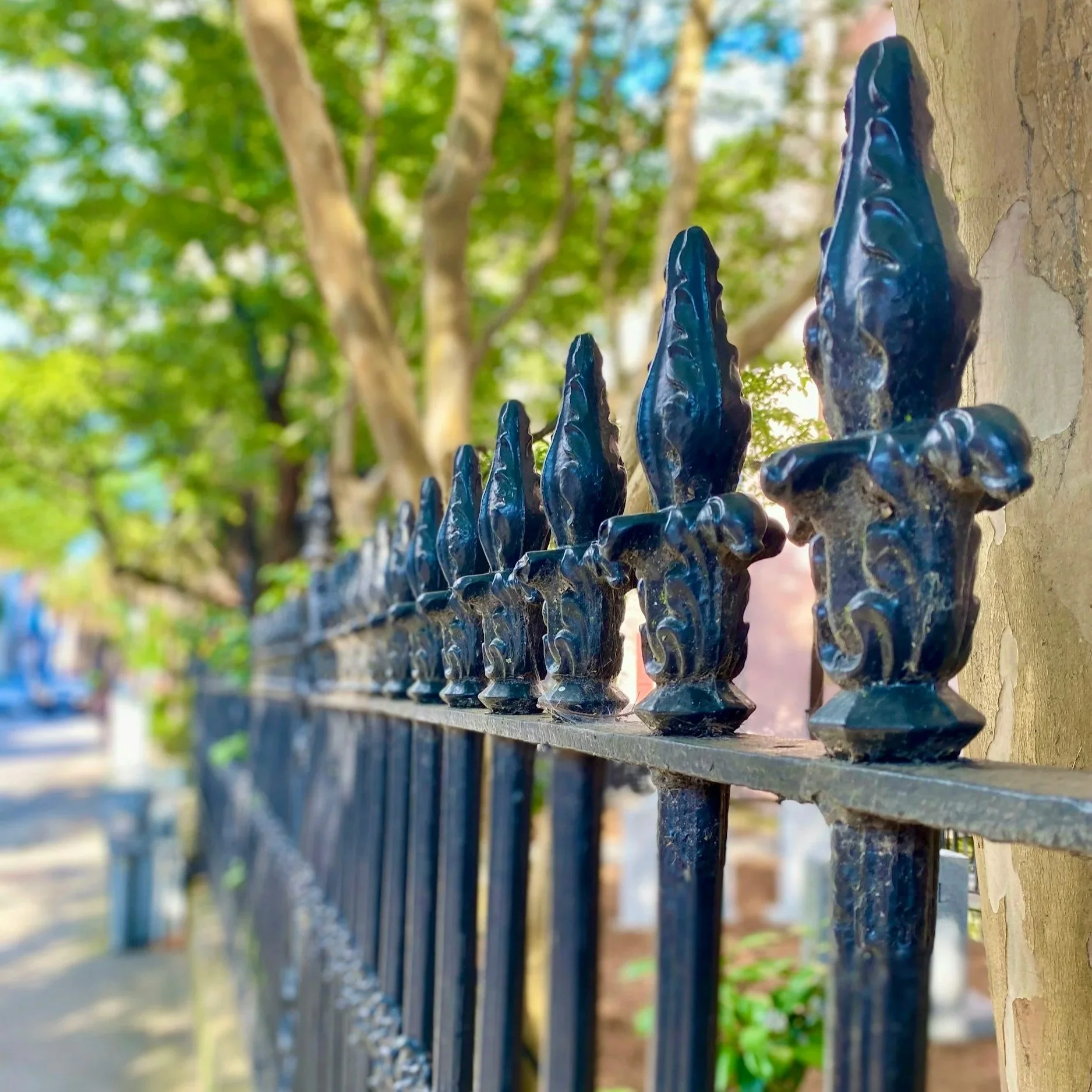 What Makes Iron Fencing Ideal for Both Strength and Design