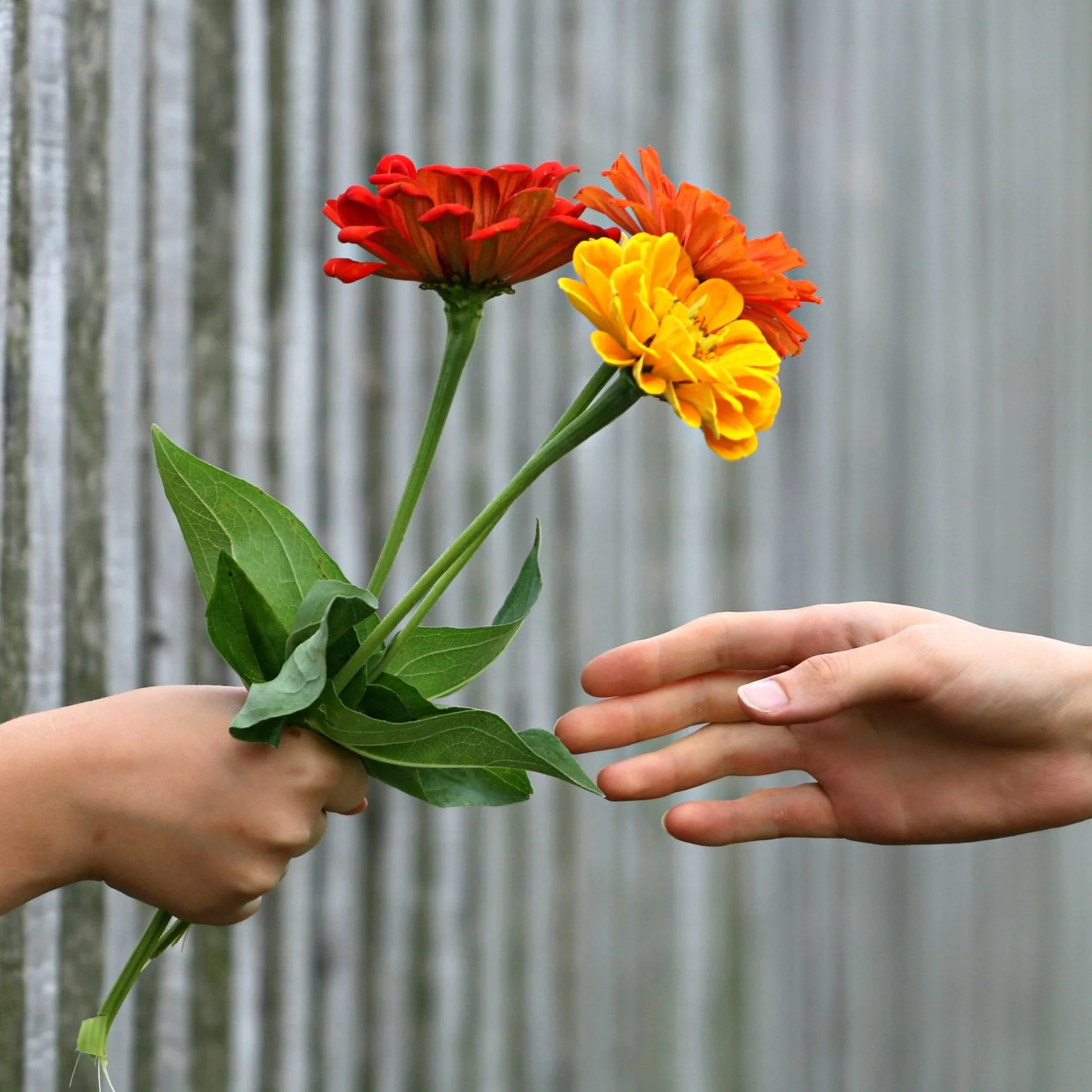 Most people do their best to avoid confrontations with the neighbors. But, not everyone.