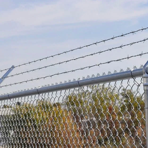 The Role of Fencing in Securing Phoenix Government Facilities