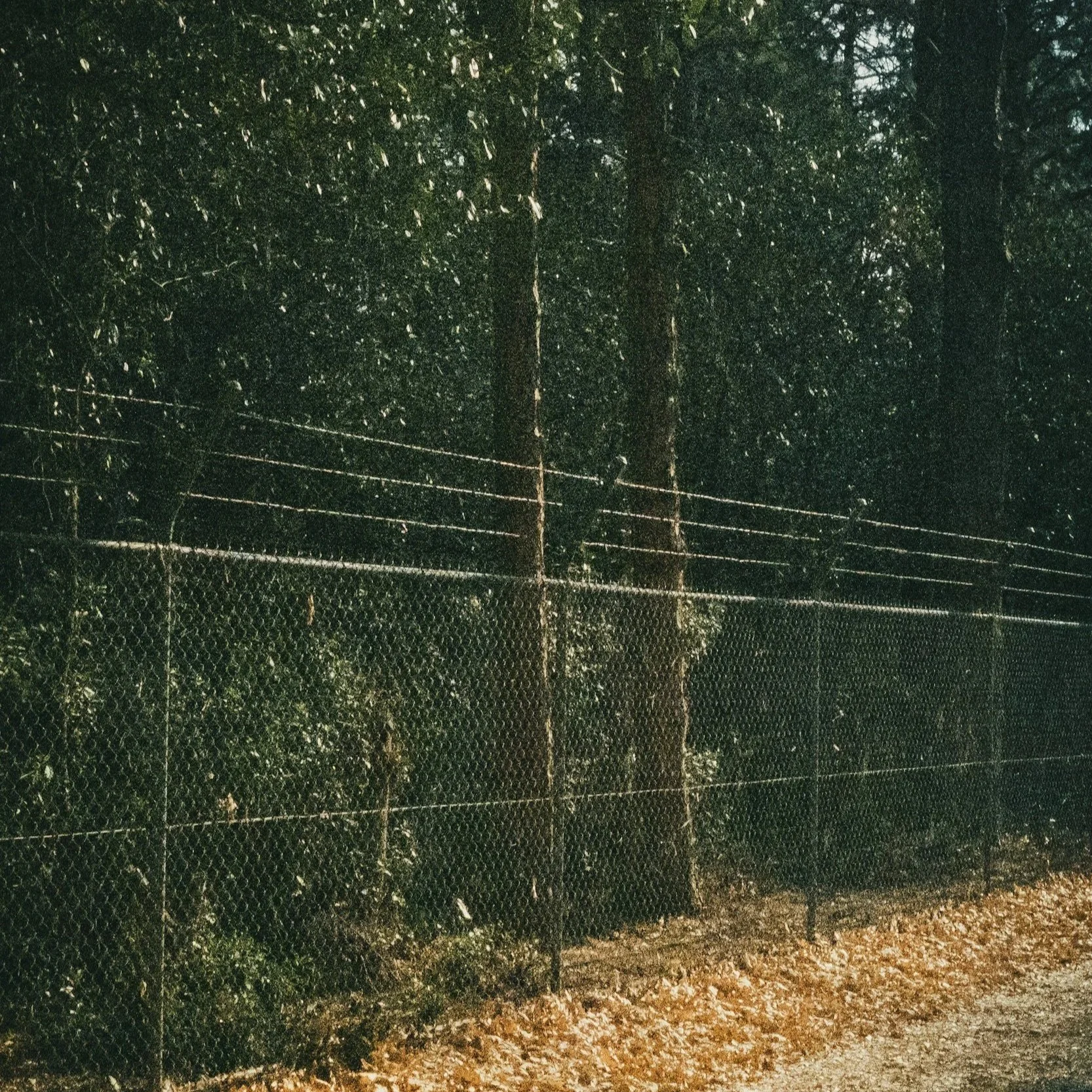 Aesthetic Commercial Fencing: How the Right Fence Improves Brand Image Without Sacrificing Security