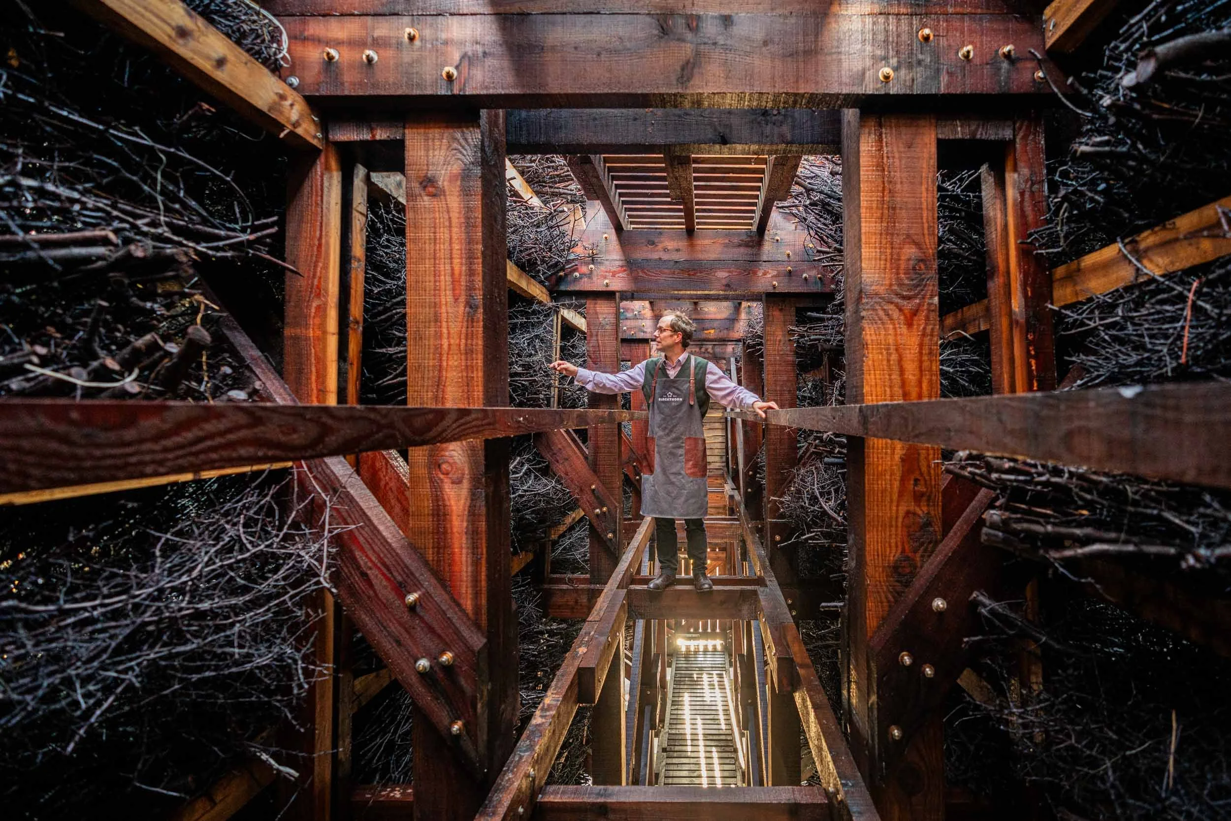 BLACKTHORN FULL FILM