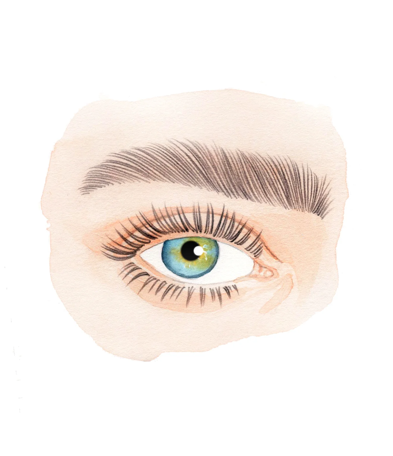 eye.jpg