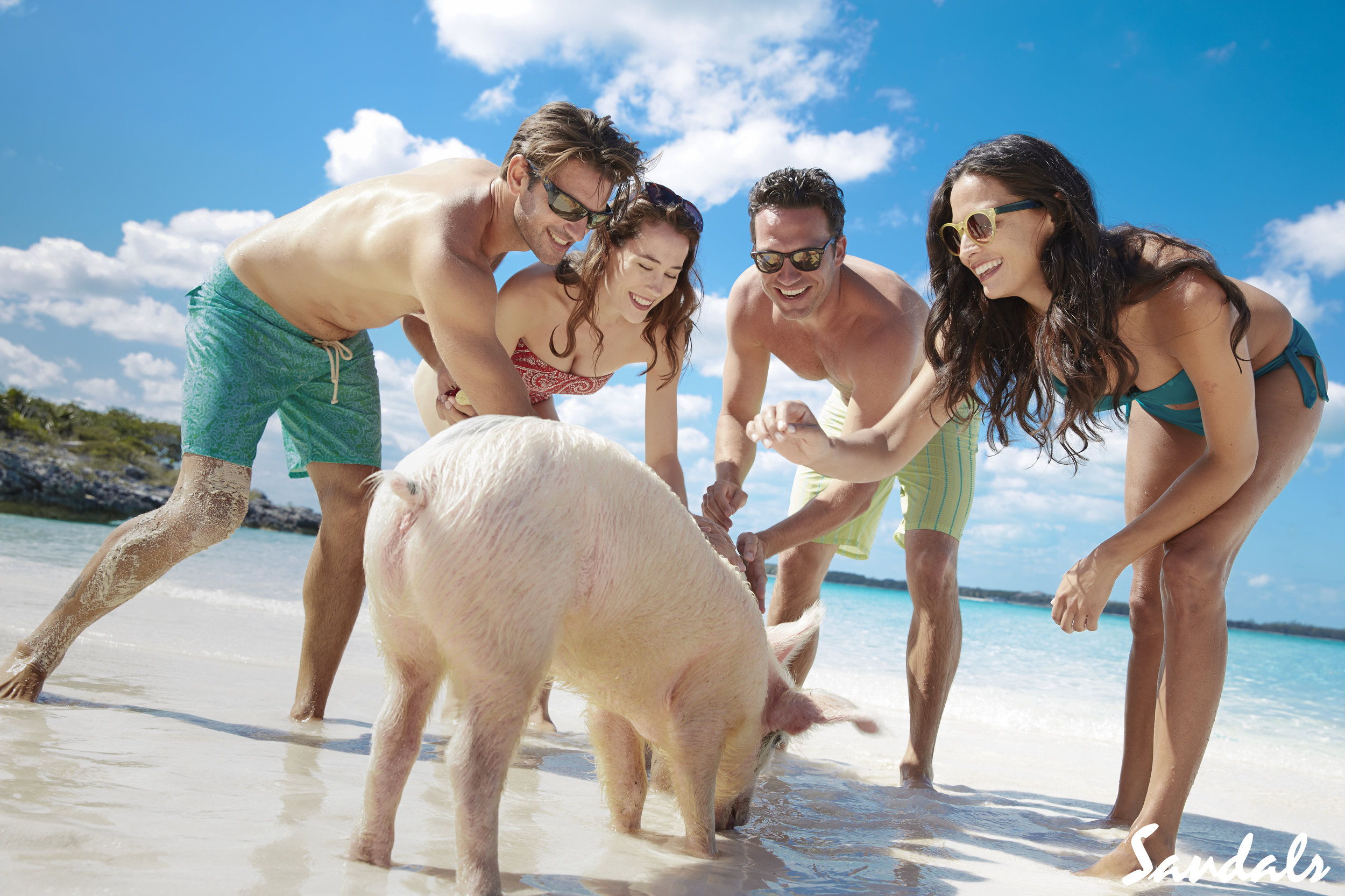 Trade_Pig Island_428 1 copy.jpg