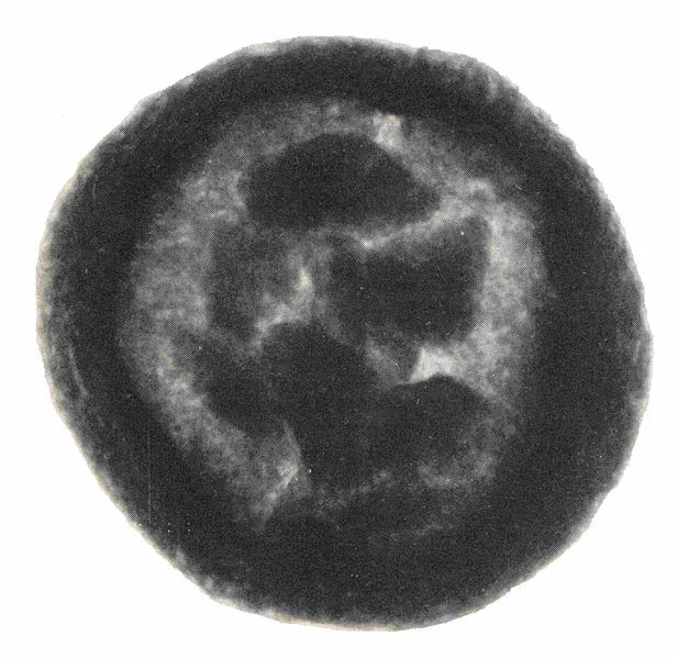 X-rays of one of the "bulles", with the tokens inside. 
