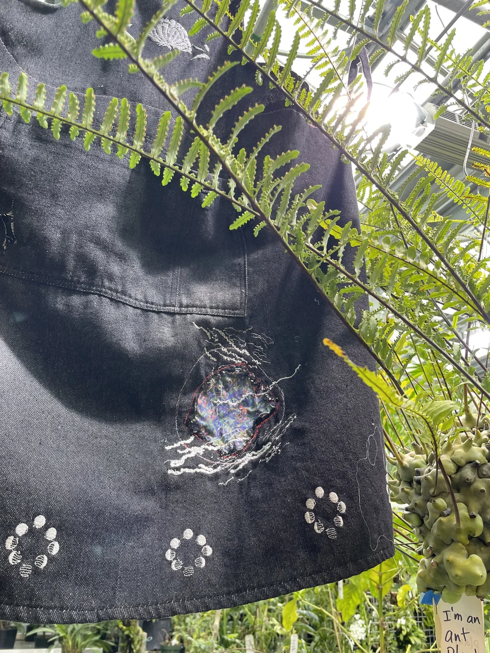 greenhouse-show 2.jpeg