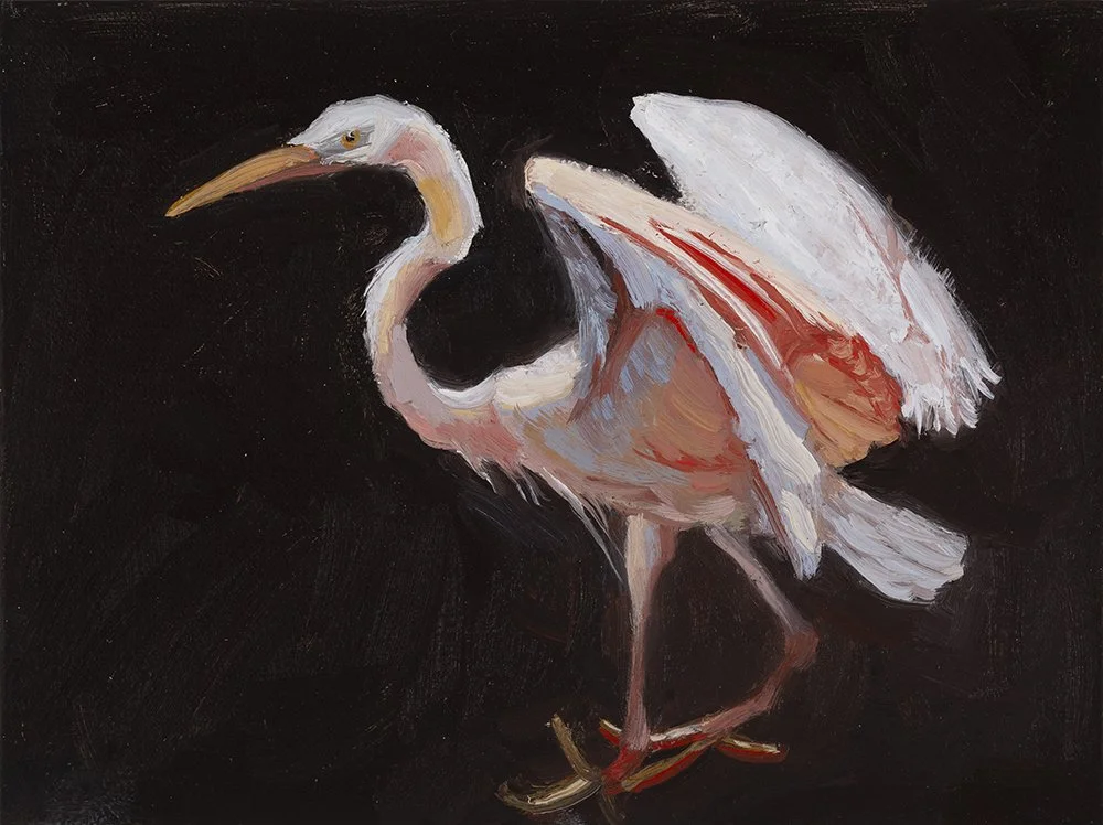 1000pxl walking_FLE0060.jpg