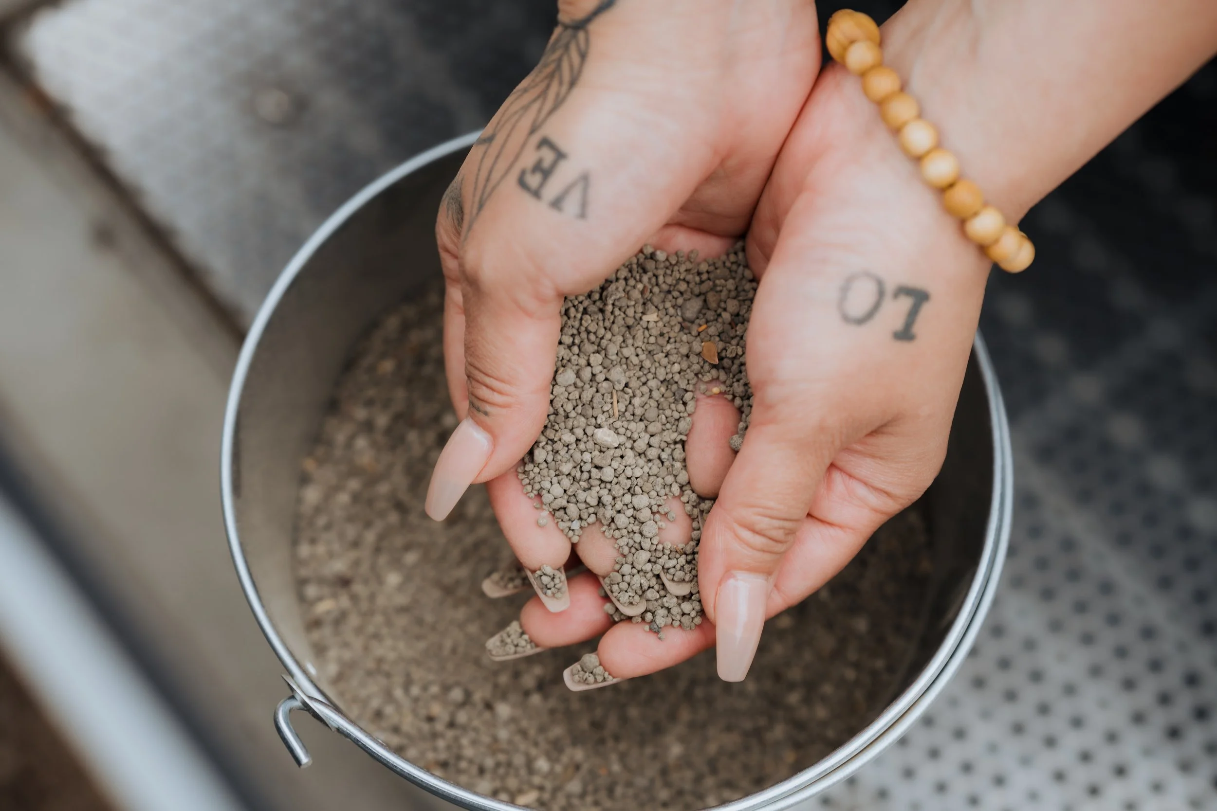 A person with tattoos on her fingers and a beaded bracelet on her wrist is holding tiny pellets, possibly fertilizer or seeds, over a bucket filled with similar pellets. The focus is on the hands and the pellets.