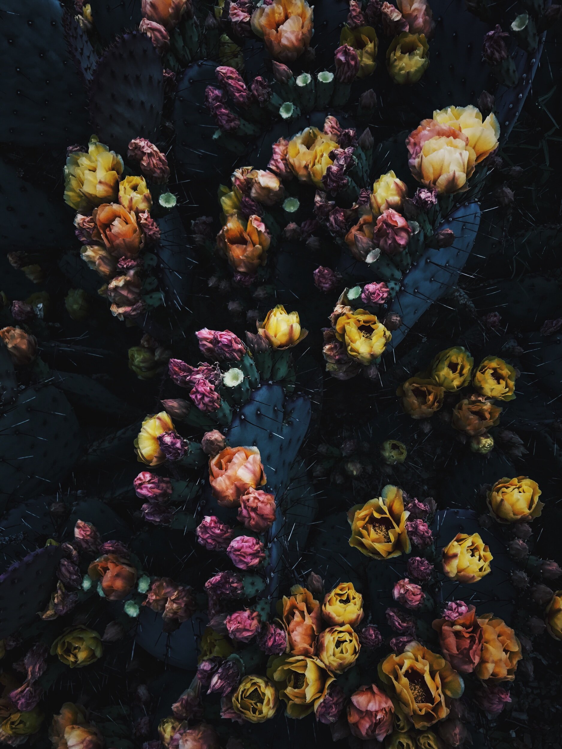D5A93A70-82F8-44D5-B013-52C334191608.jpeg