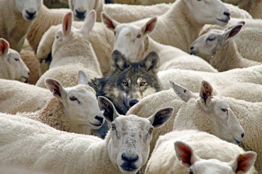 Abandoning Belief in Hell