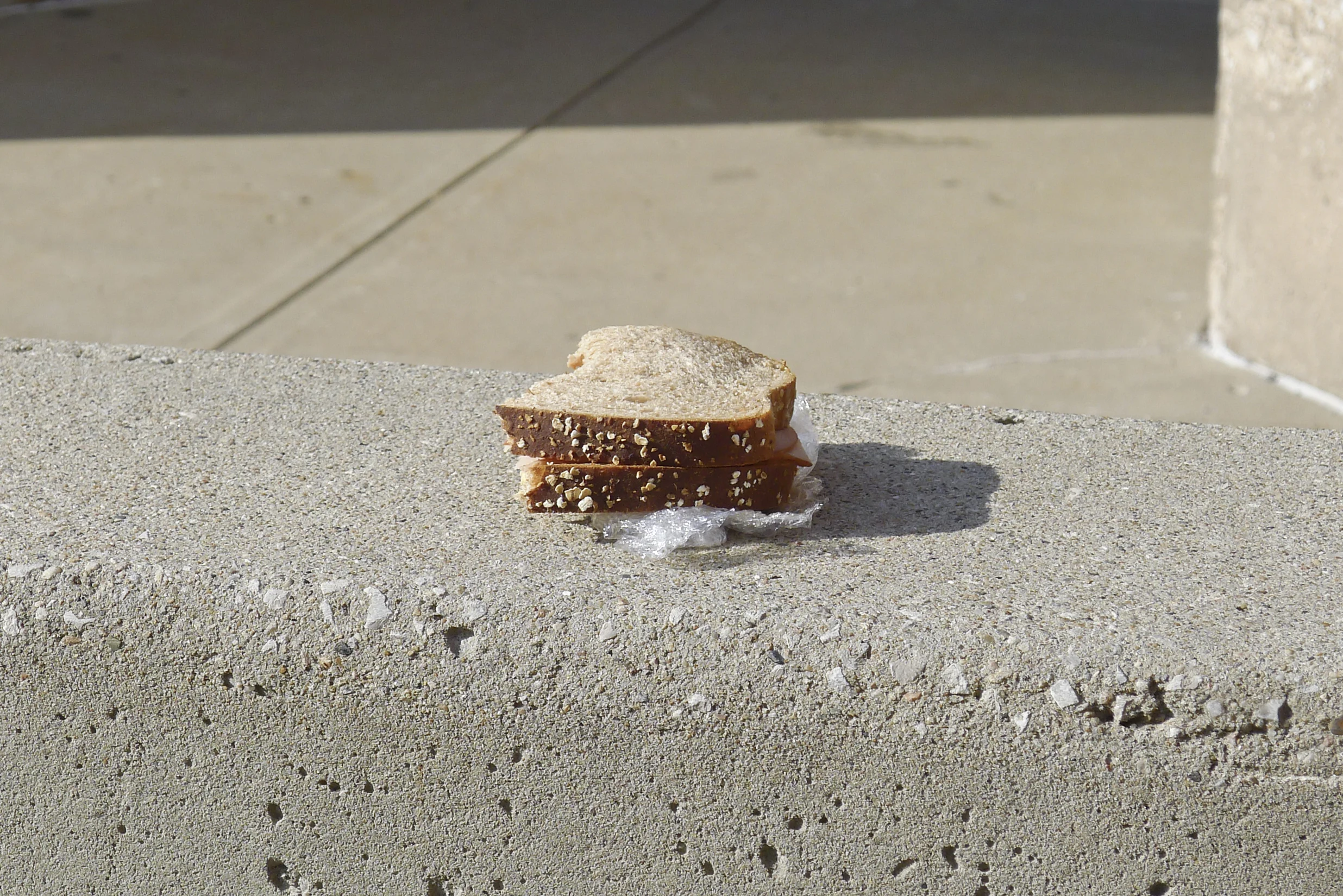 ham sandwich.jpg