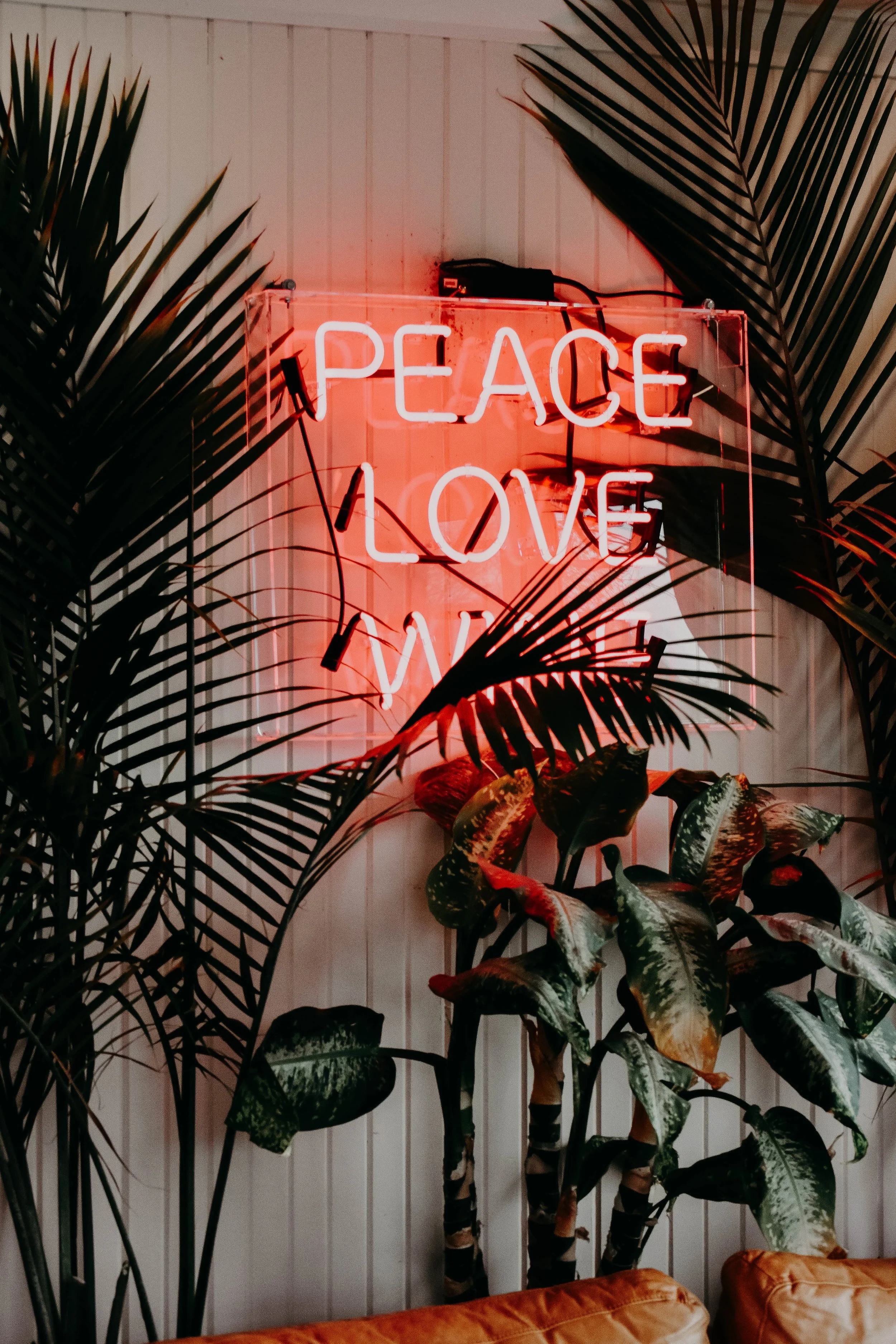 Foto de Jacalyn Beales en Unsplash