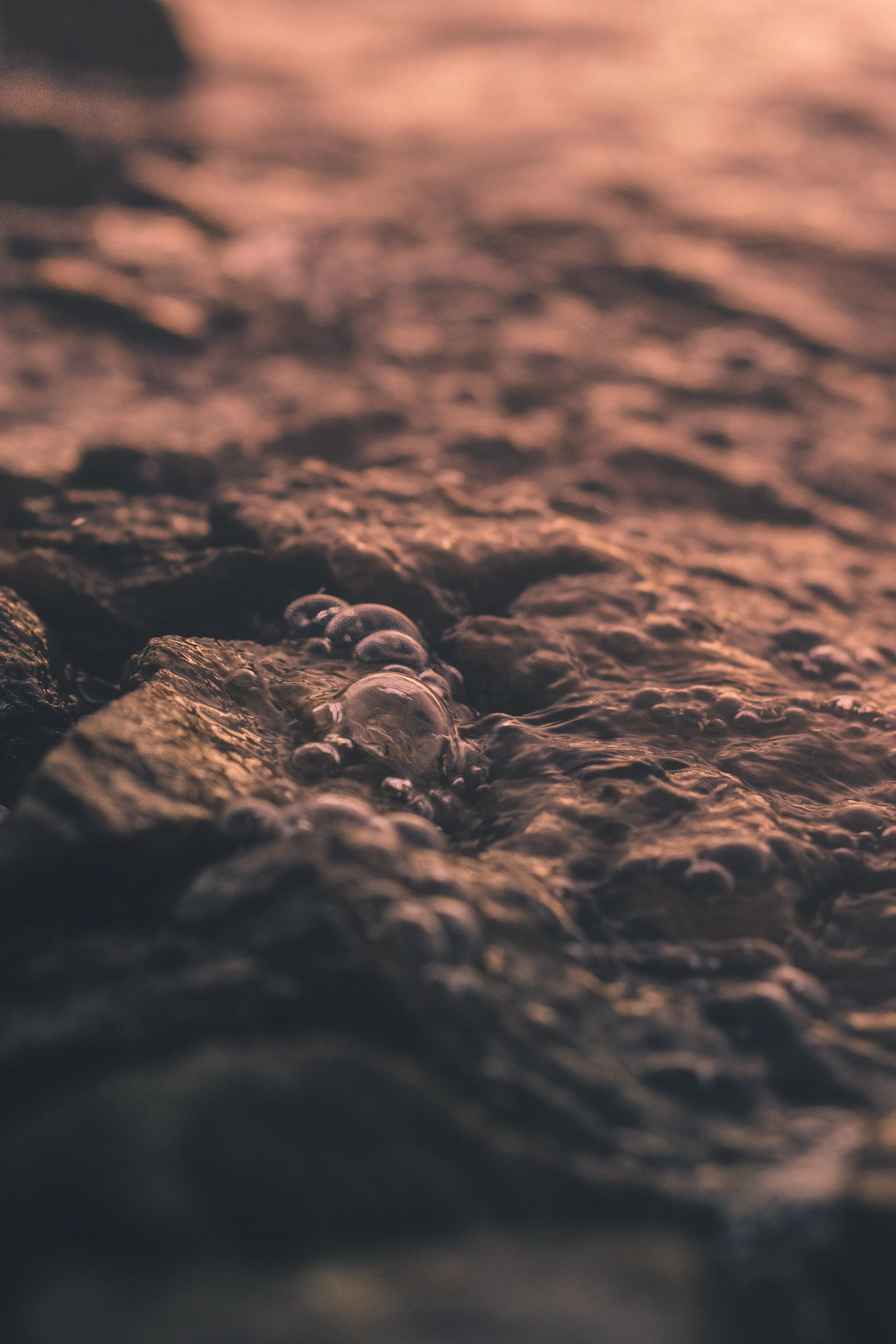 Luna llena en Escorpión. Mayo 7, 2020. Hacia la profundidad.