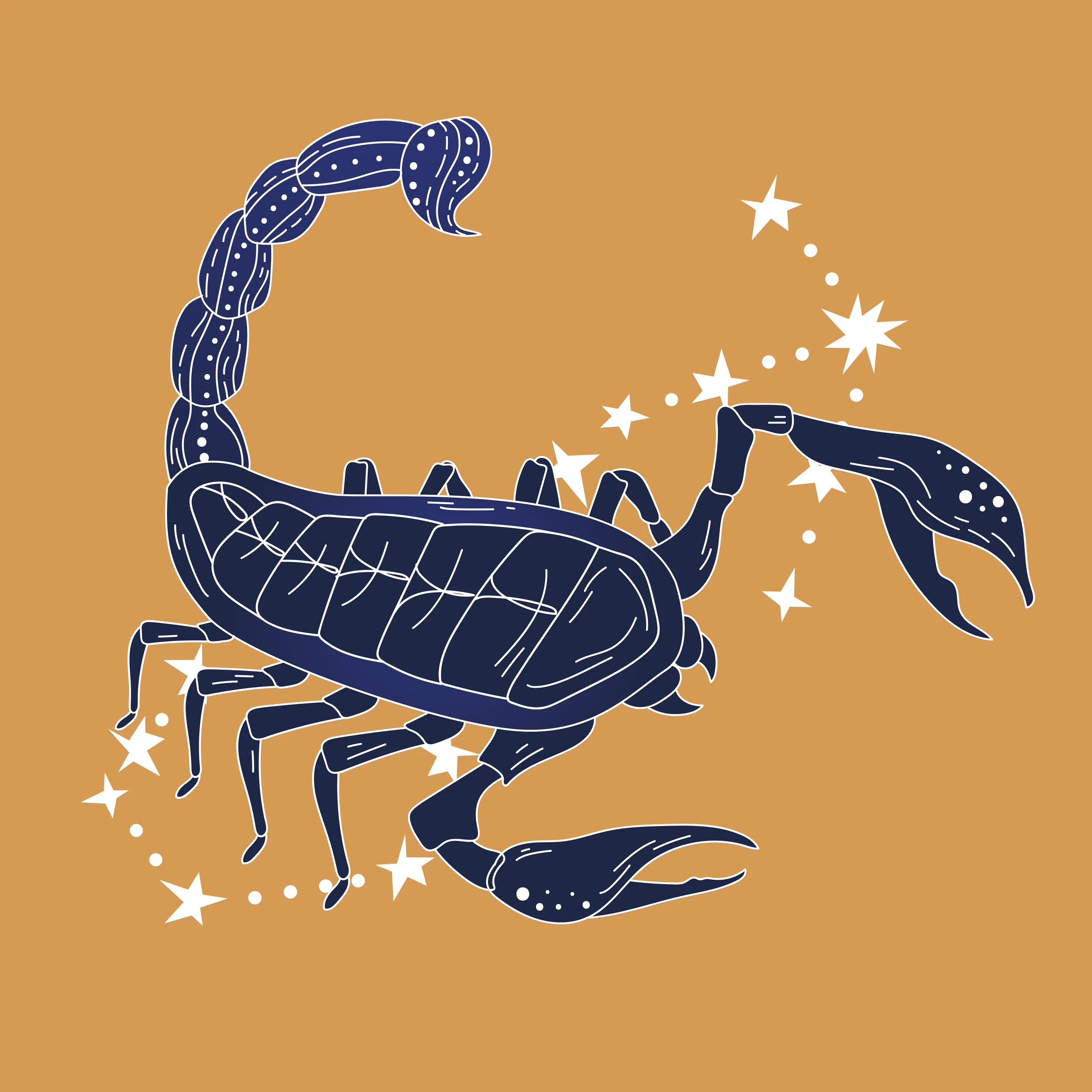 Luna nueva en Escorpión