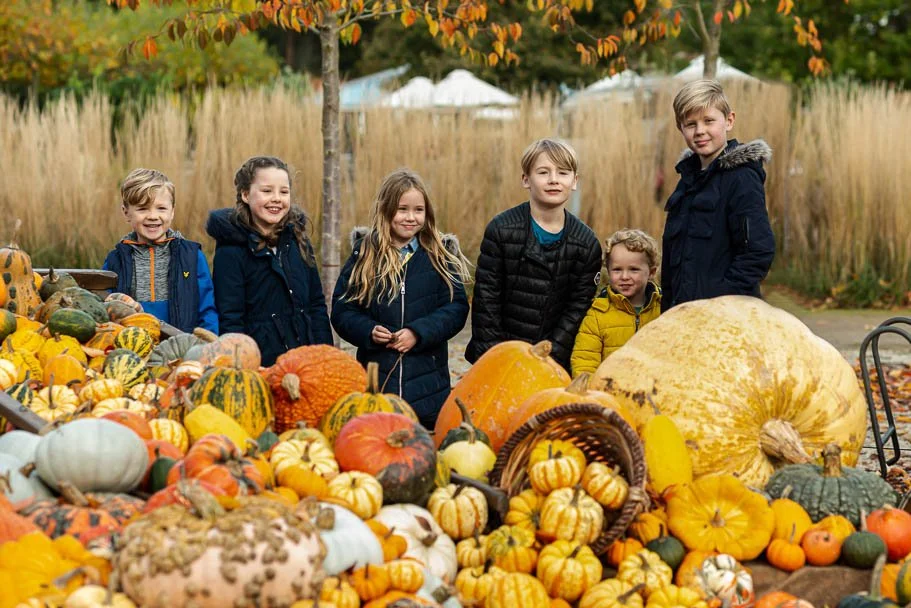 Autumn colours are such a treat for a photographer! #childphotography #childportraitphotography #childrensphotographer #kids #Surreyphotographer #photographersurrey #surreymums #family #familyshoot #familyphotographer #familyphotography #autumnminish