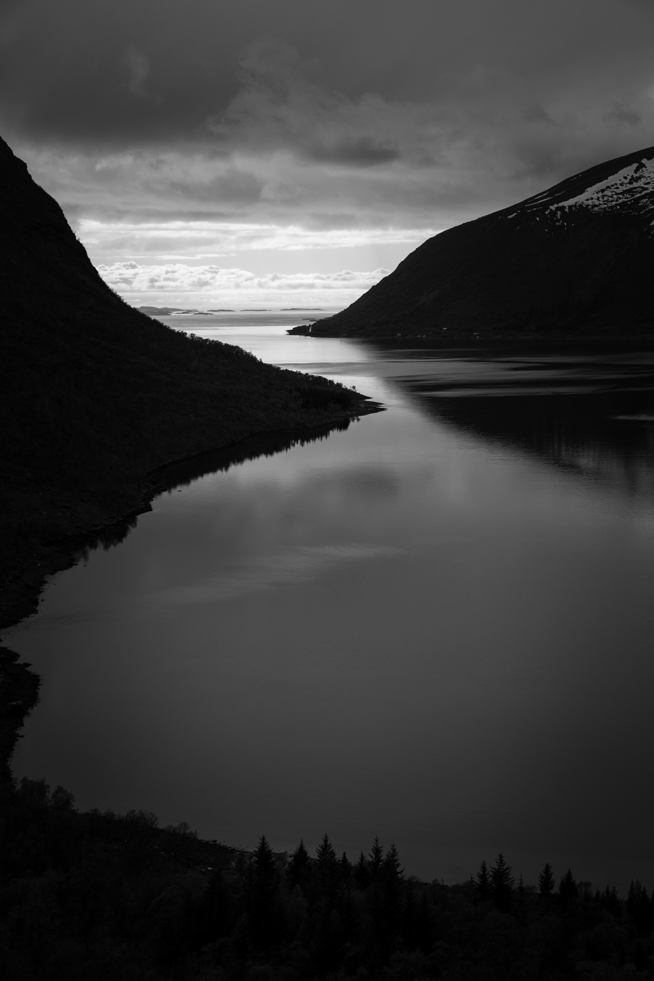 IMG_7449.jpg